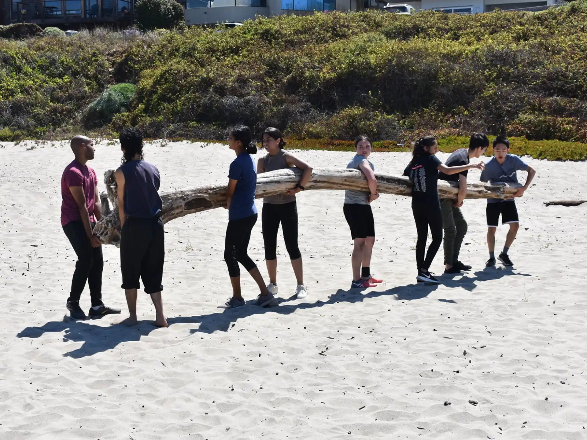 a group of people standing on a beach