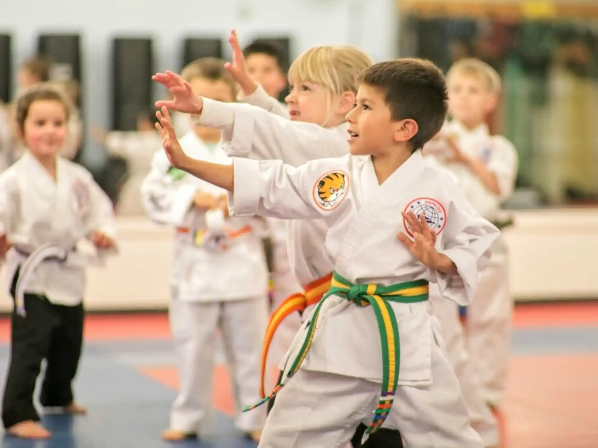a group of children in karate uniforms