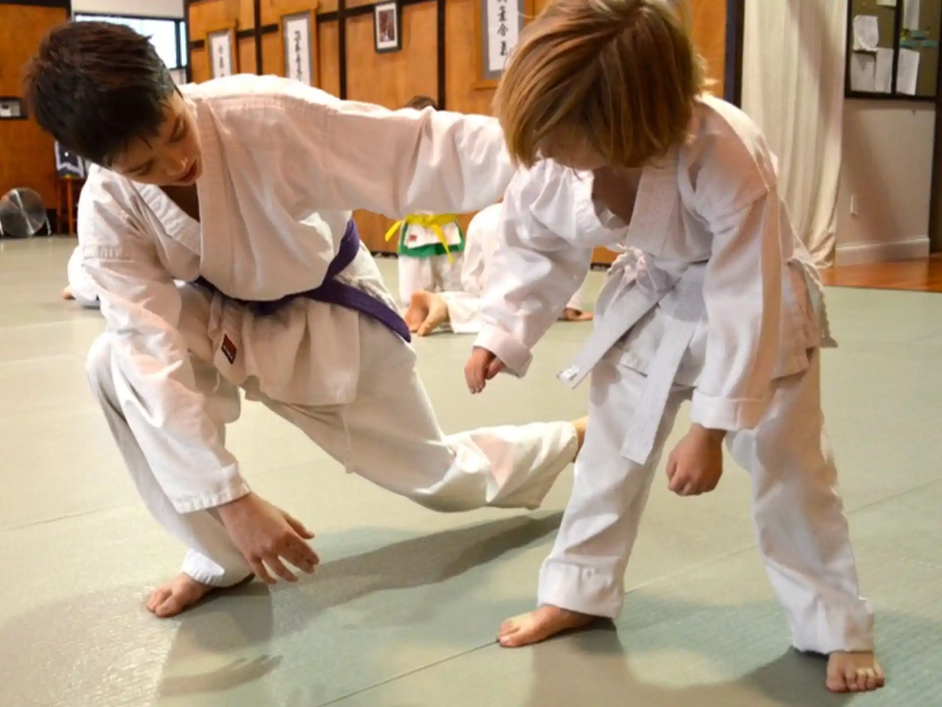 a couple of kids in karate uniforms