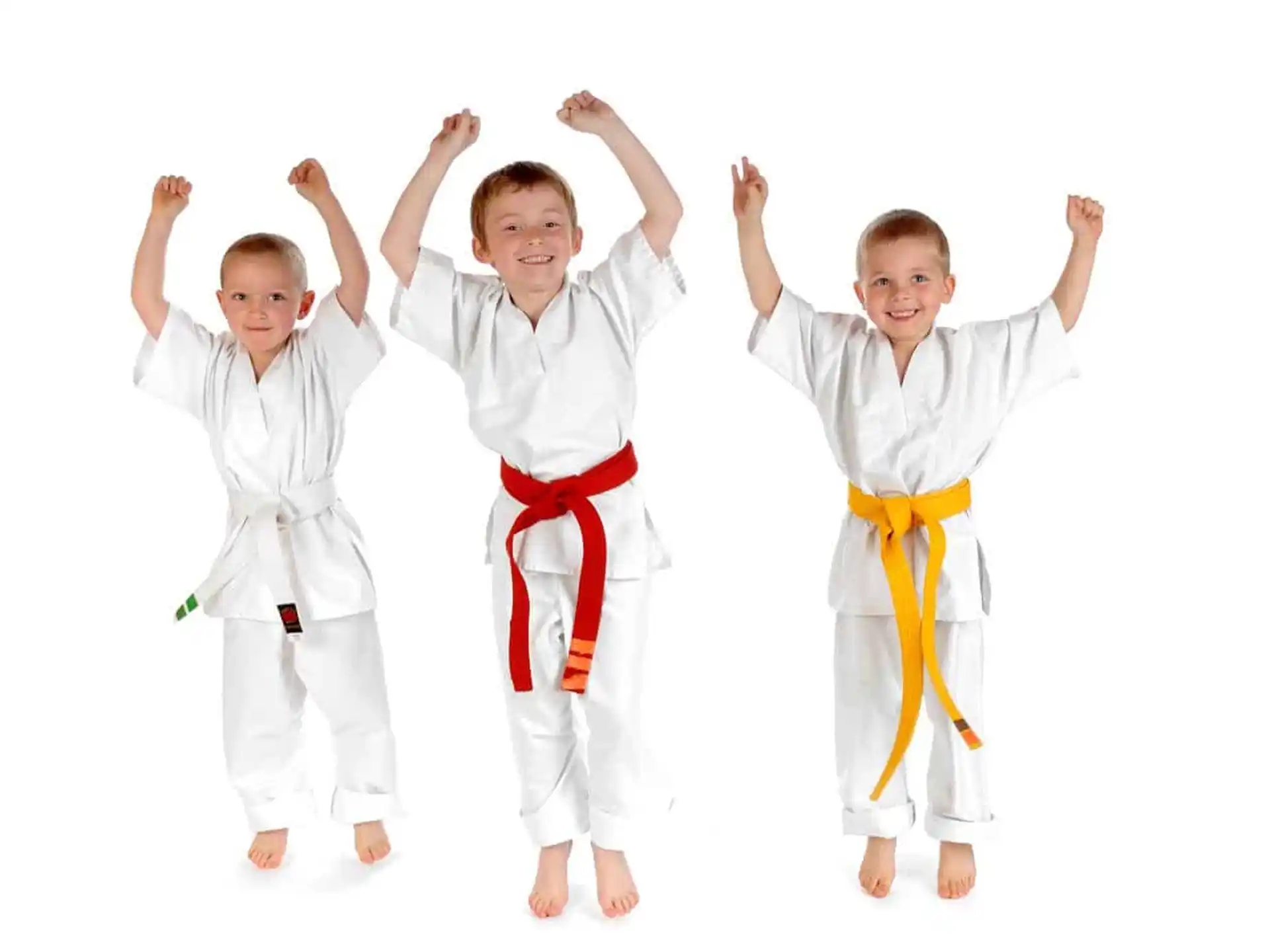 a group of boys in karate uniforms