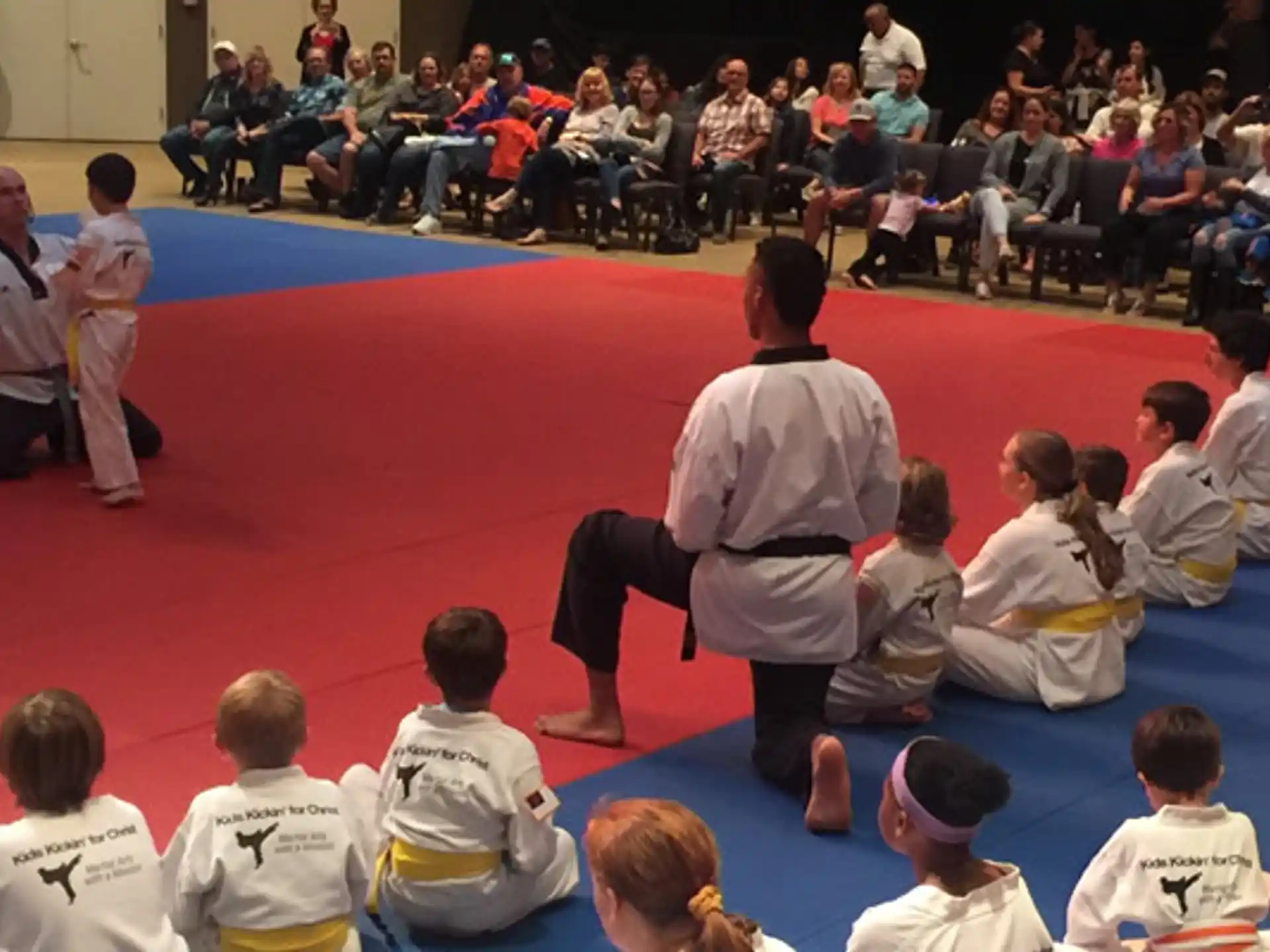 a person doing a karate move to a group of children