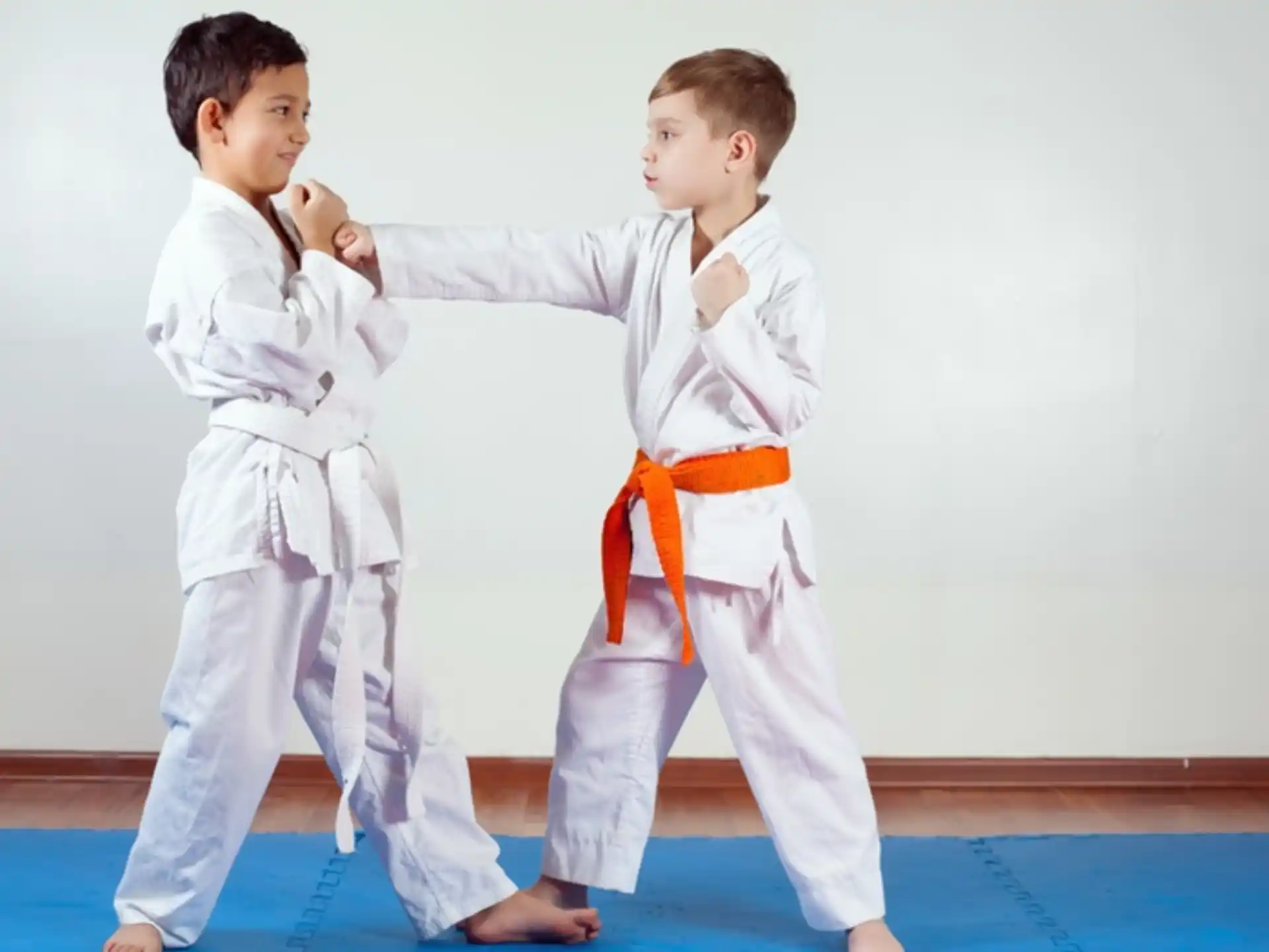 a couple of boys in karate uniforms