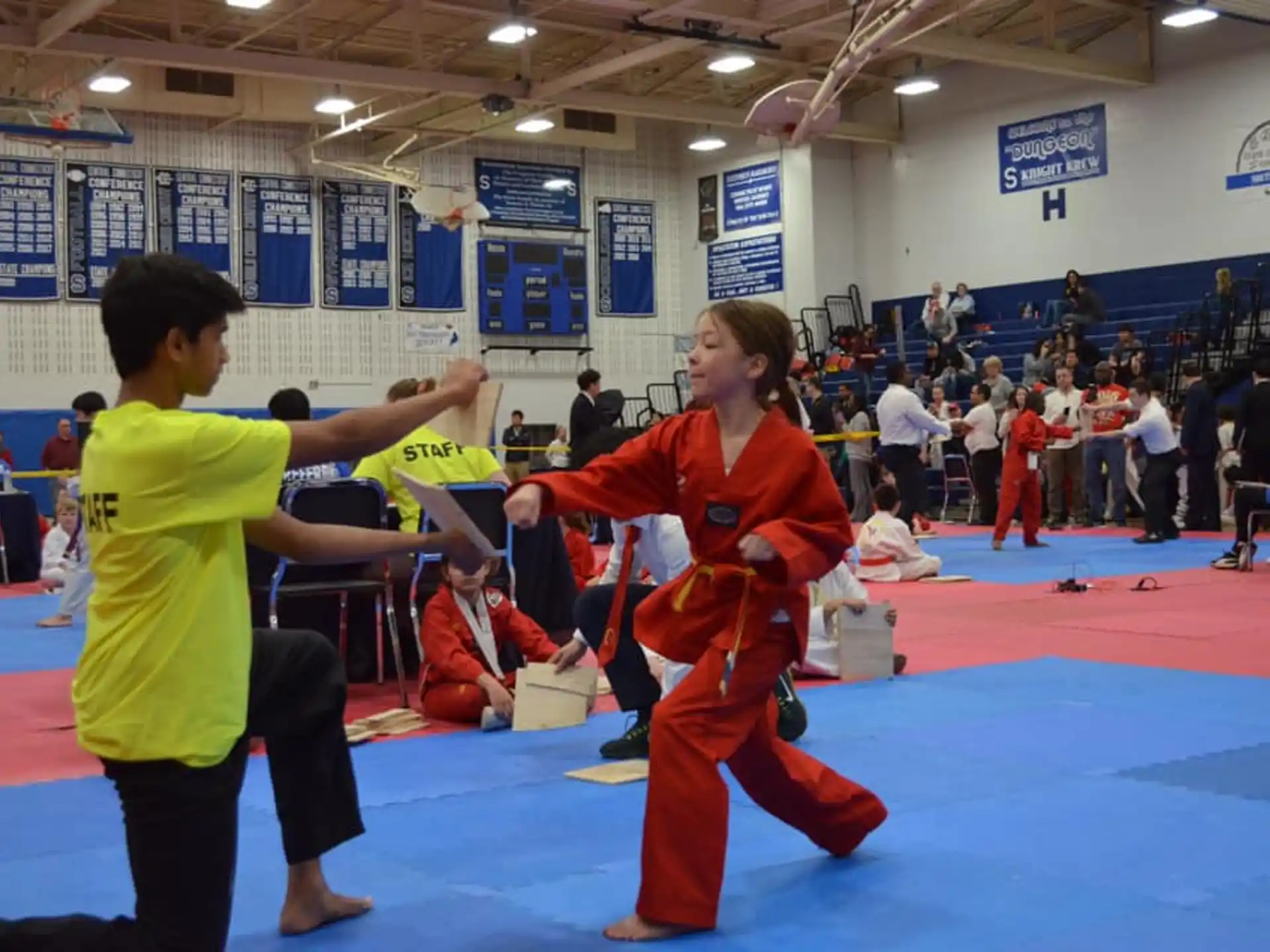 Olympic Taekwondo Academy of Simsbury AfterSchool, Camps, Birthday