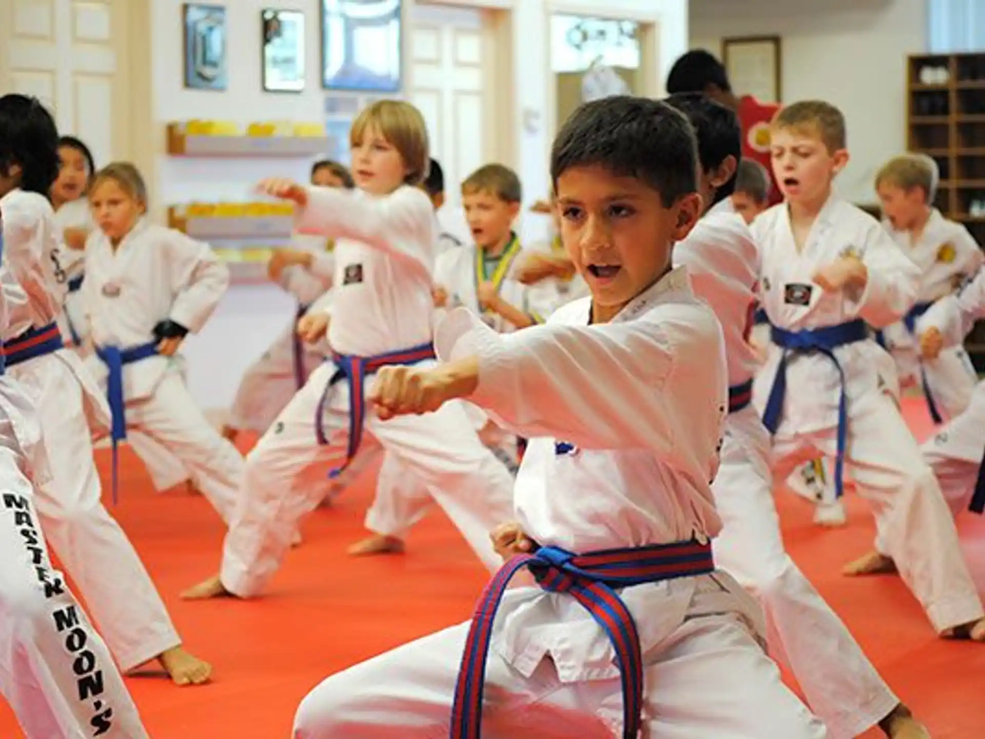 a group of children in karate uniforms