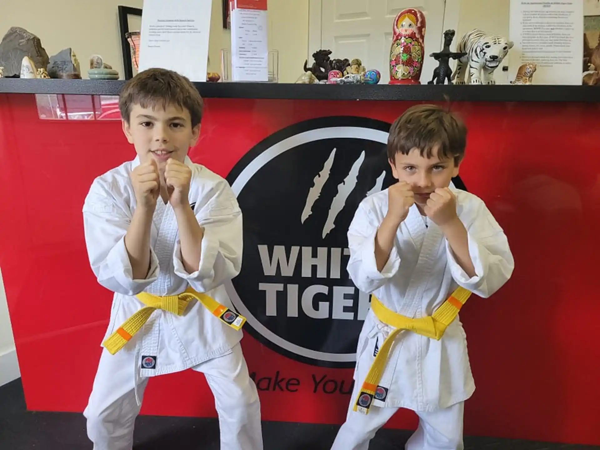 two boys in karate uniforms