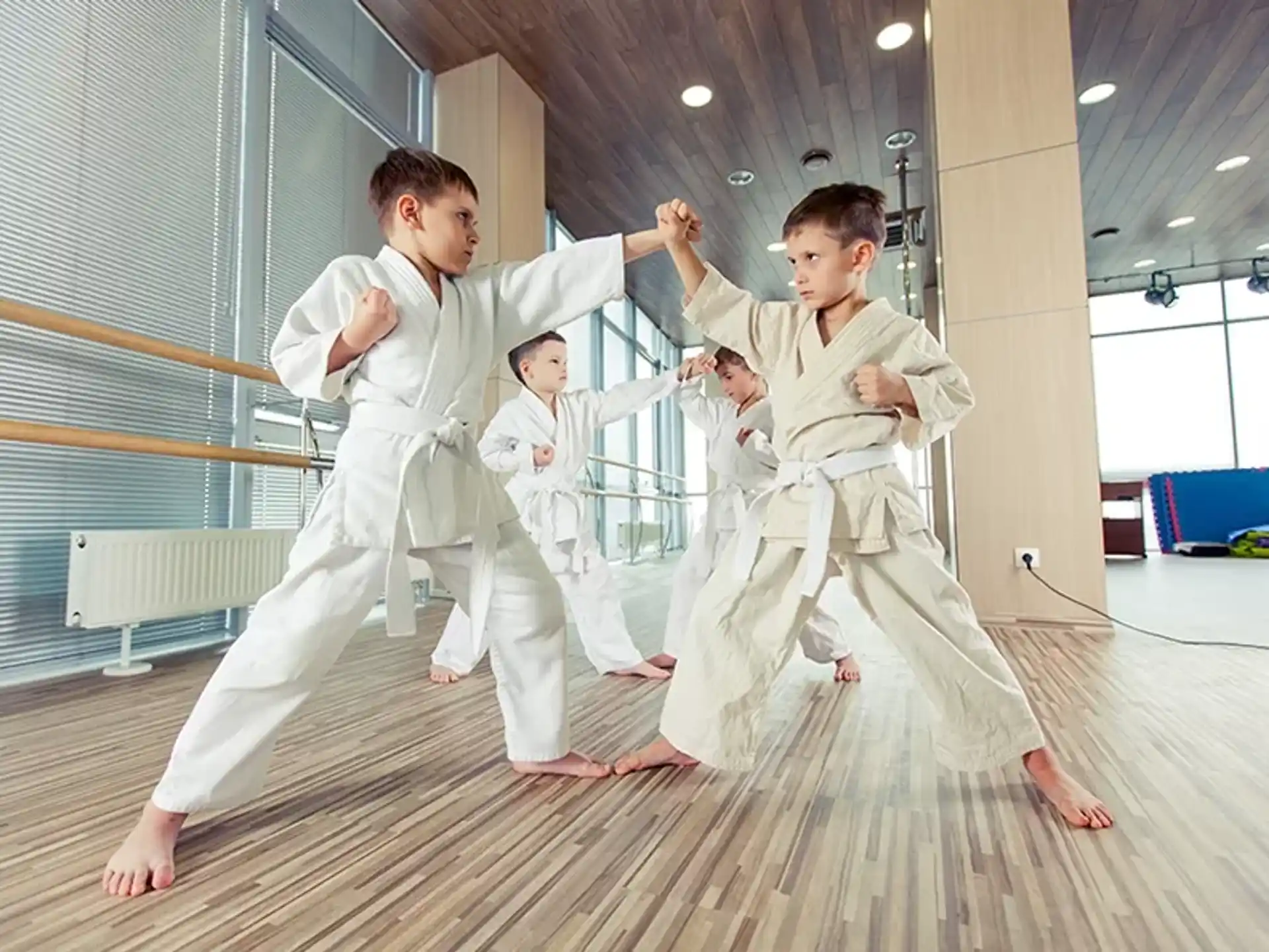a group of boys in karate uniforms