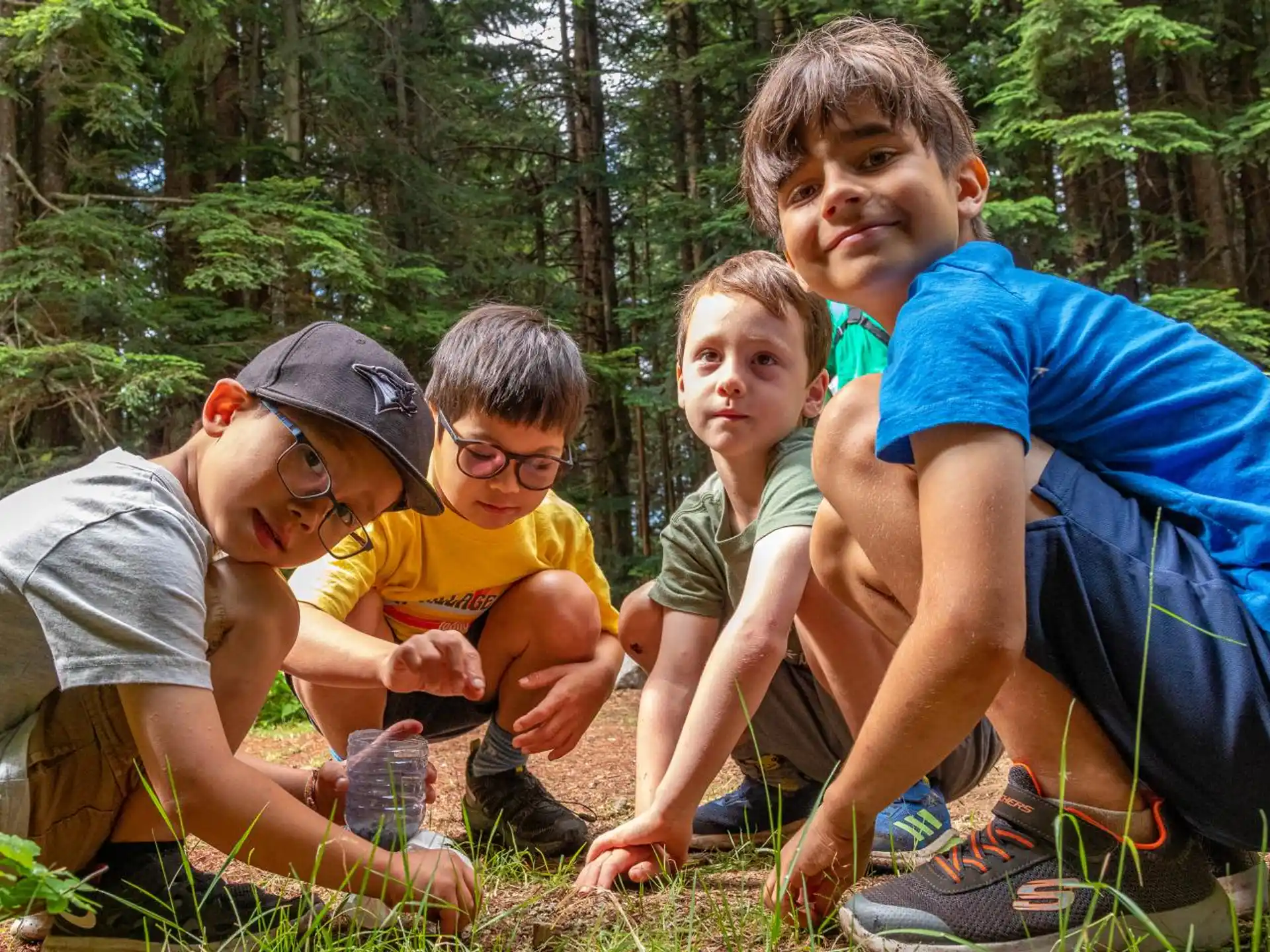 a group of people sitting in the woods
