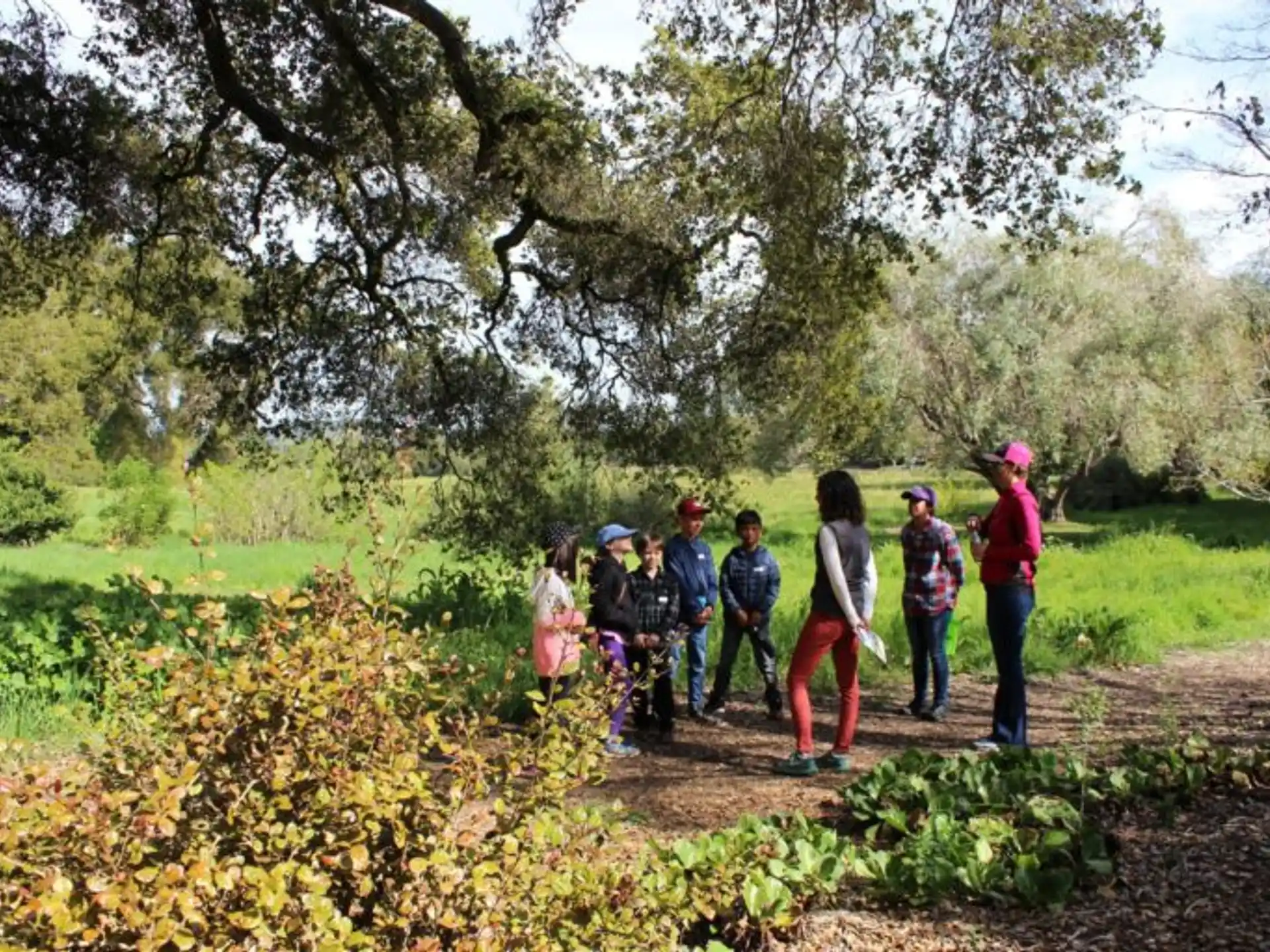 a group of people walking on a path in a park