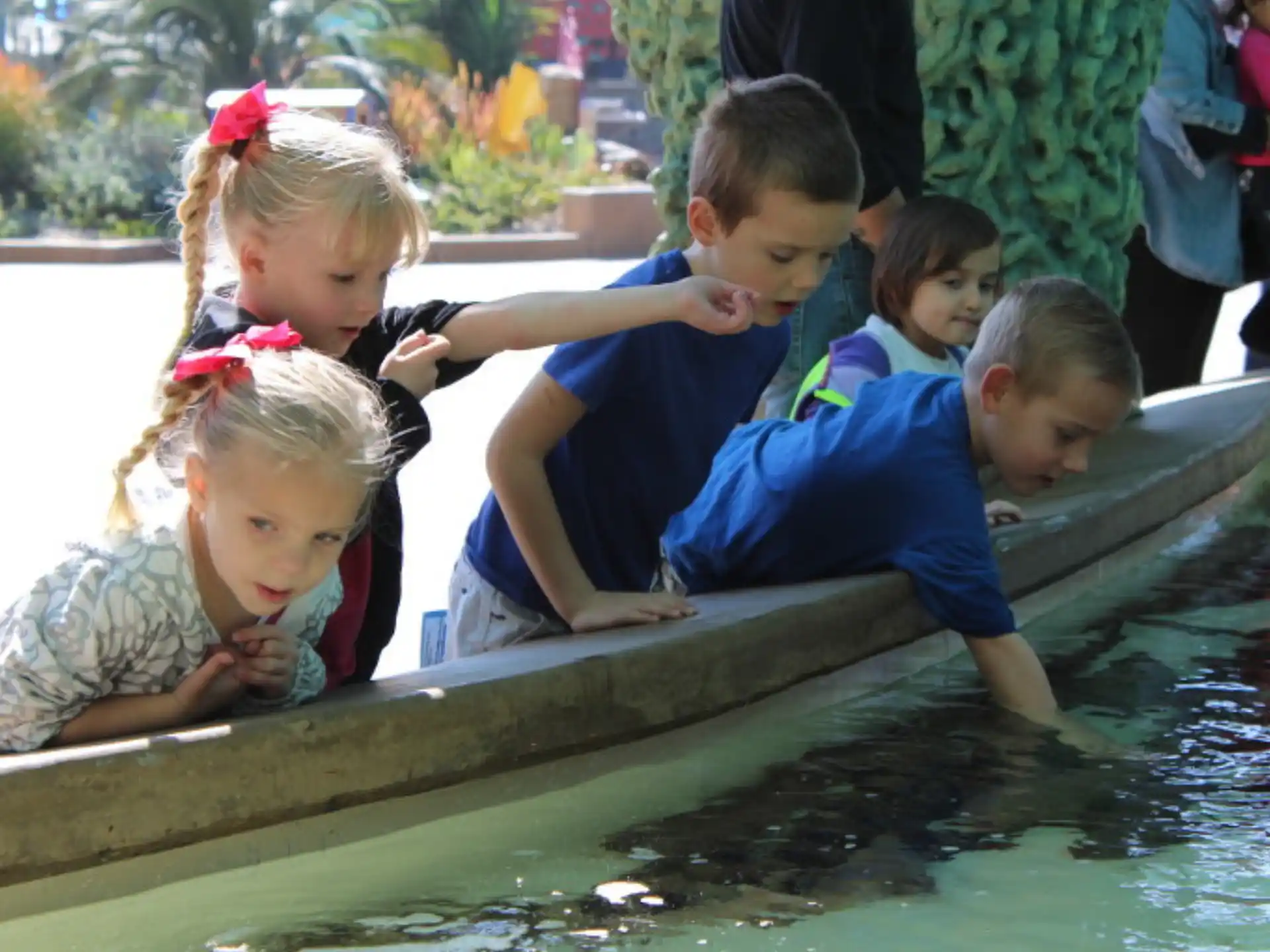 a group of children in a pool