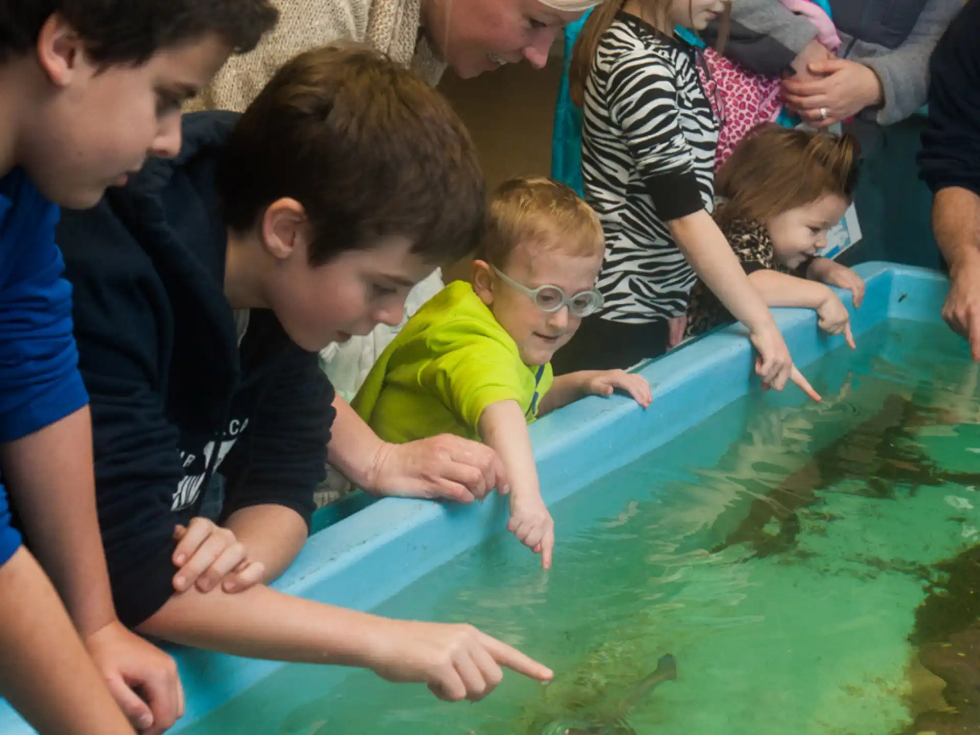 a group of people looking at a fish in a tank