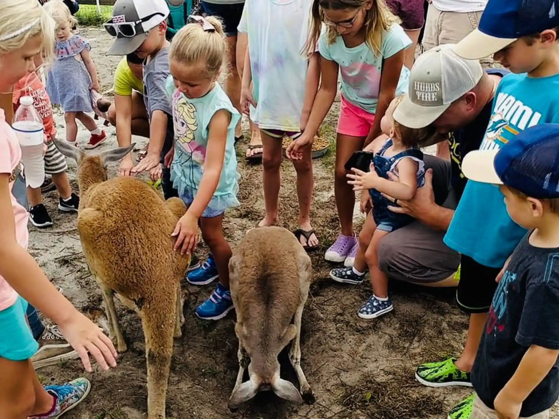 a group of children petting a goat