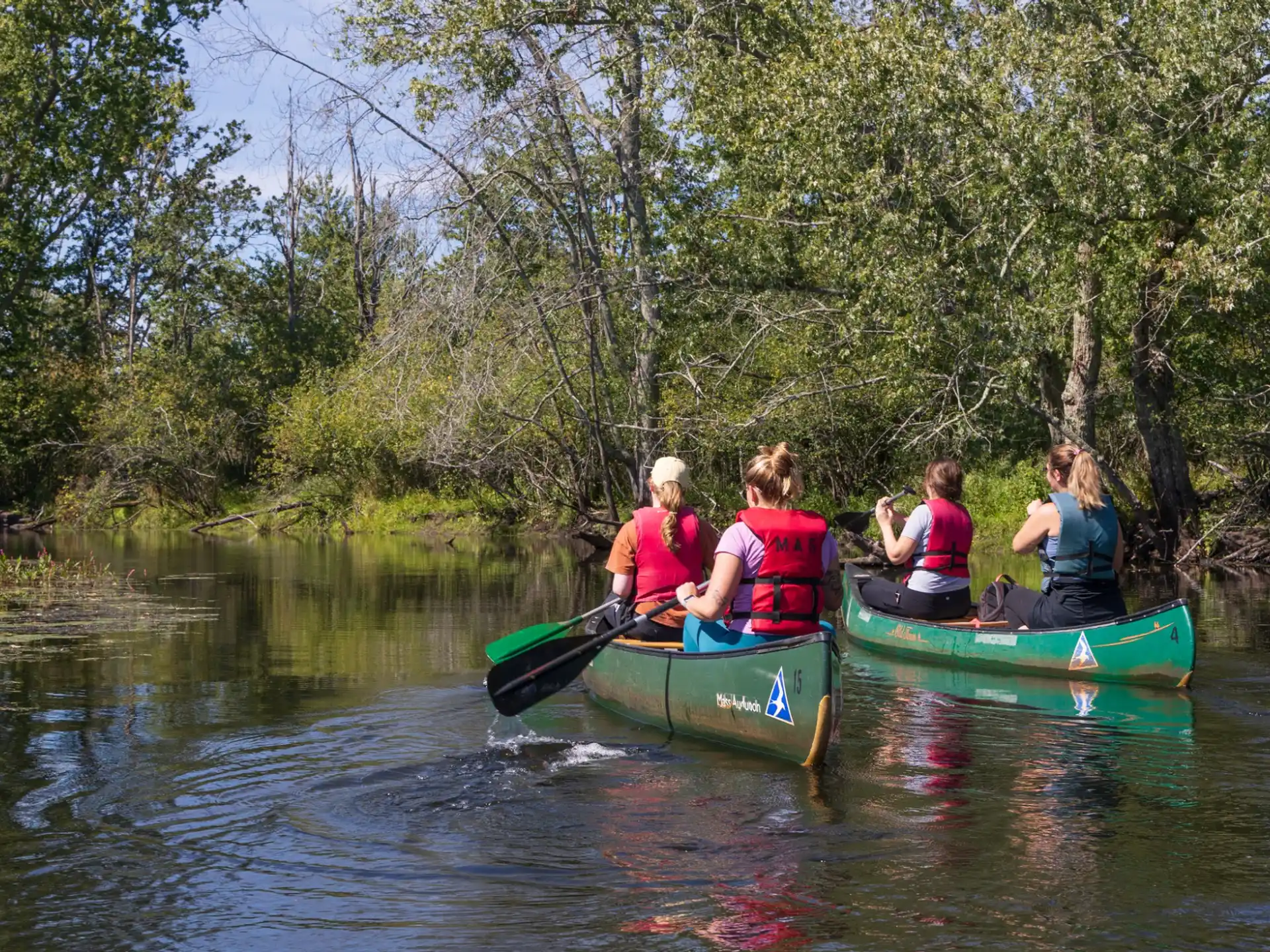 a group of people in canoes on a river
