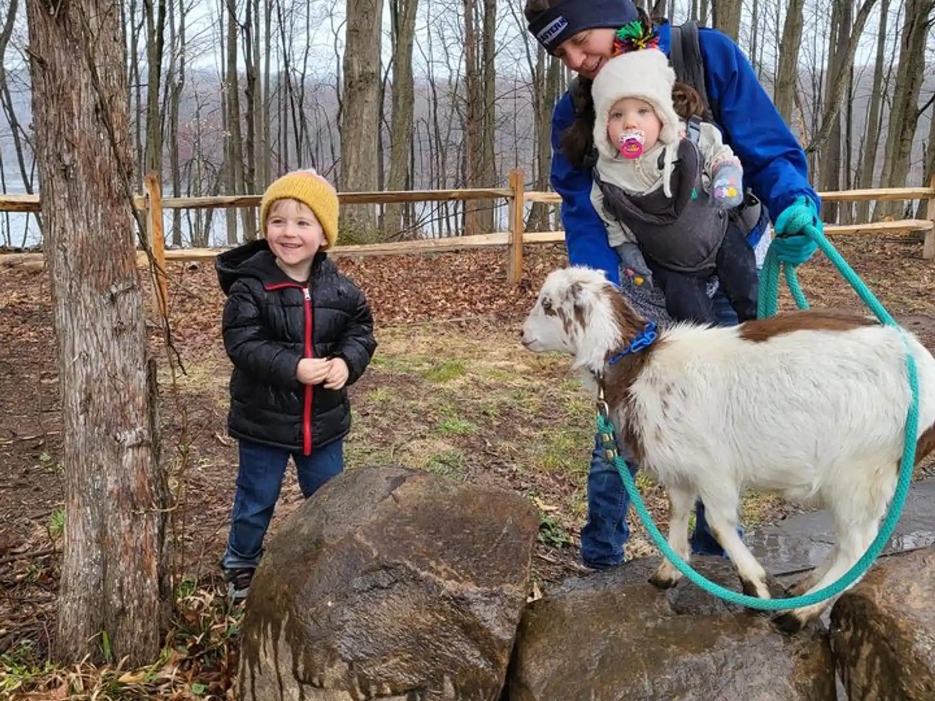 a group of children and a dog on a leash in a wooded area