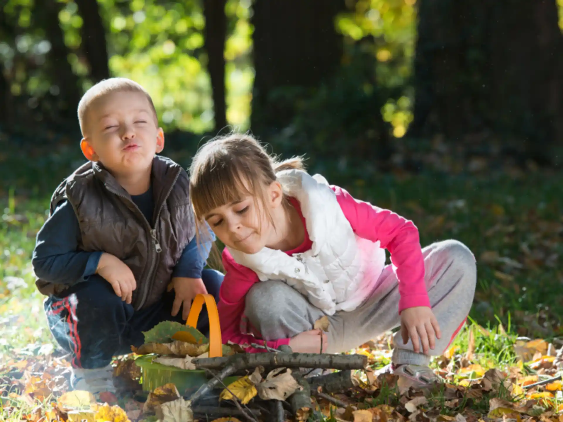a group of children sitting in the leaves in a forest