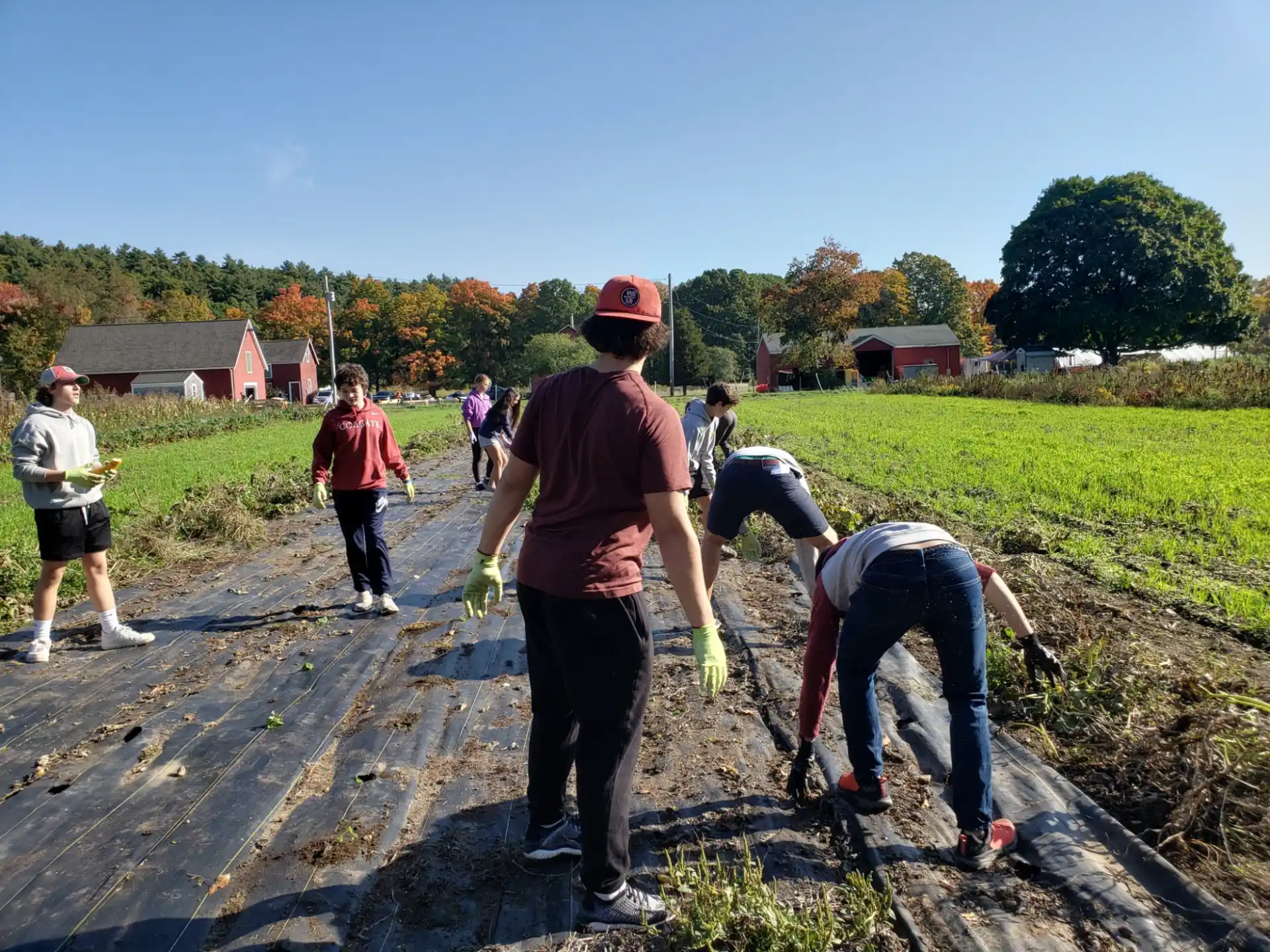 a group of people working on a field