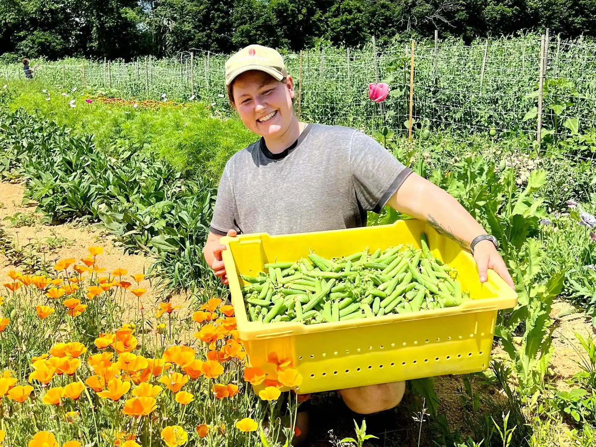 a man holding a basket of flowers
