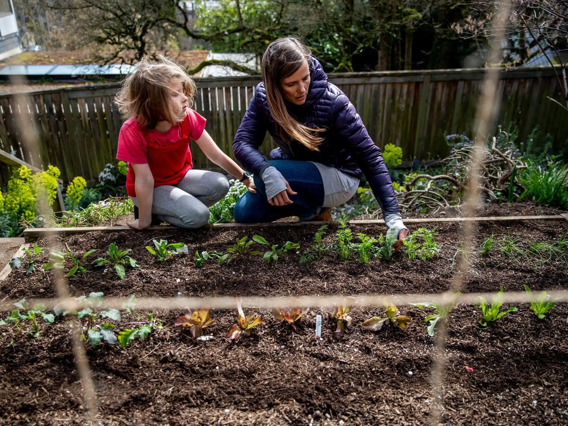 a man and a child planting plants