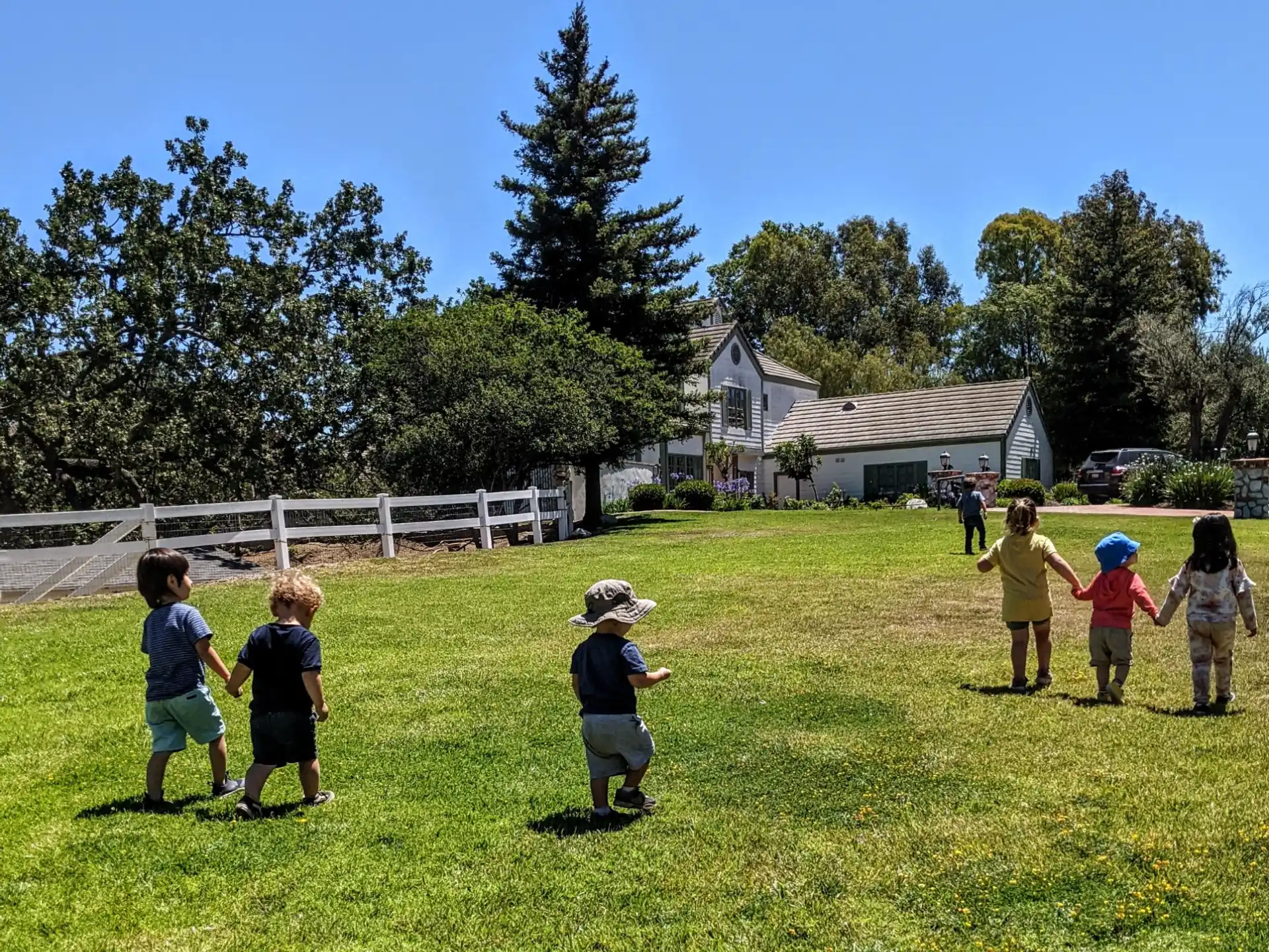 a group of children playing in a grassy field