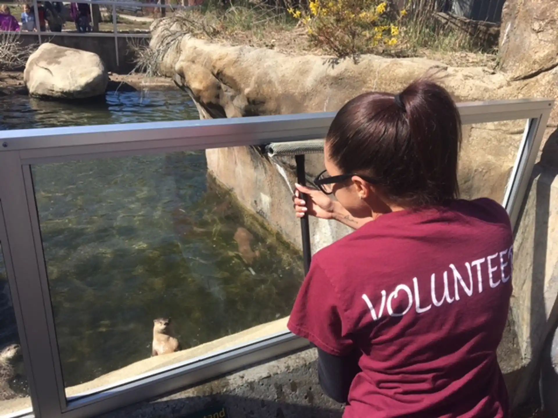 a person looking at a bear through a glass window