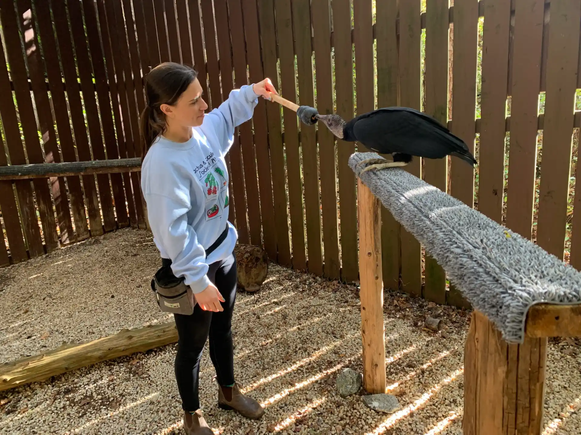 a man feeding a bird