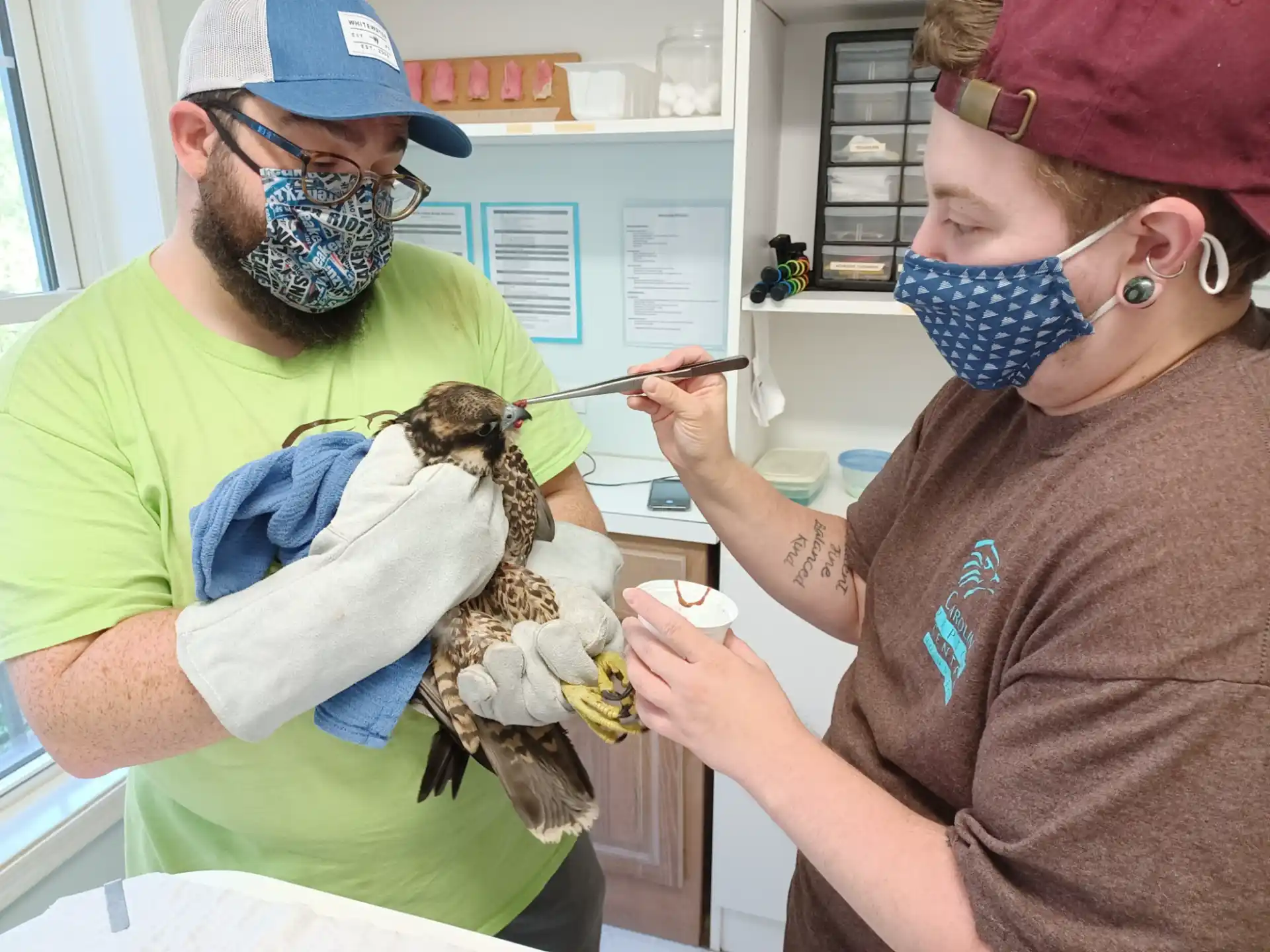 a person in a mask cuts a bird