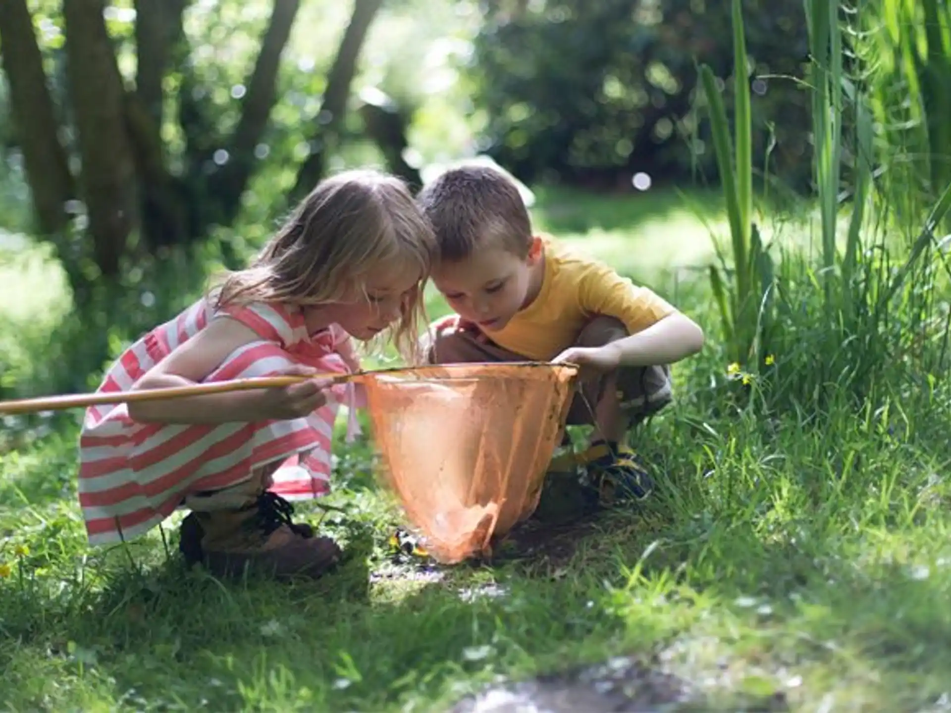 a boy and girl playing with a bucket in the grass