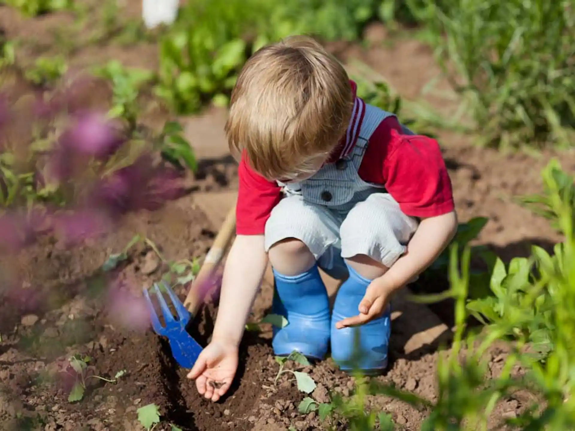 a child digging in the dirt