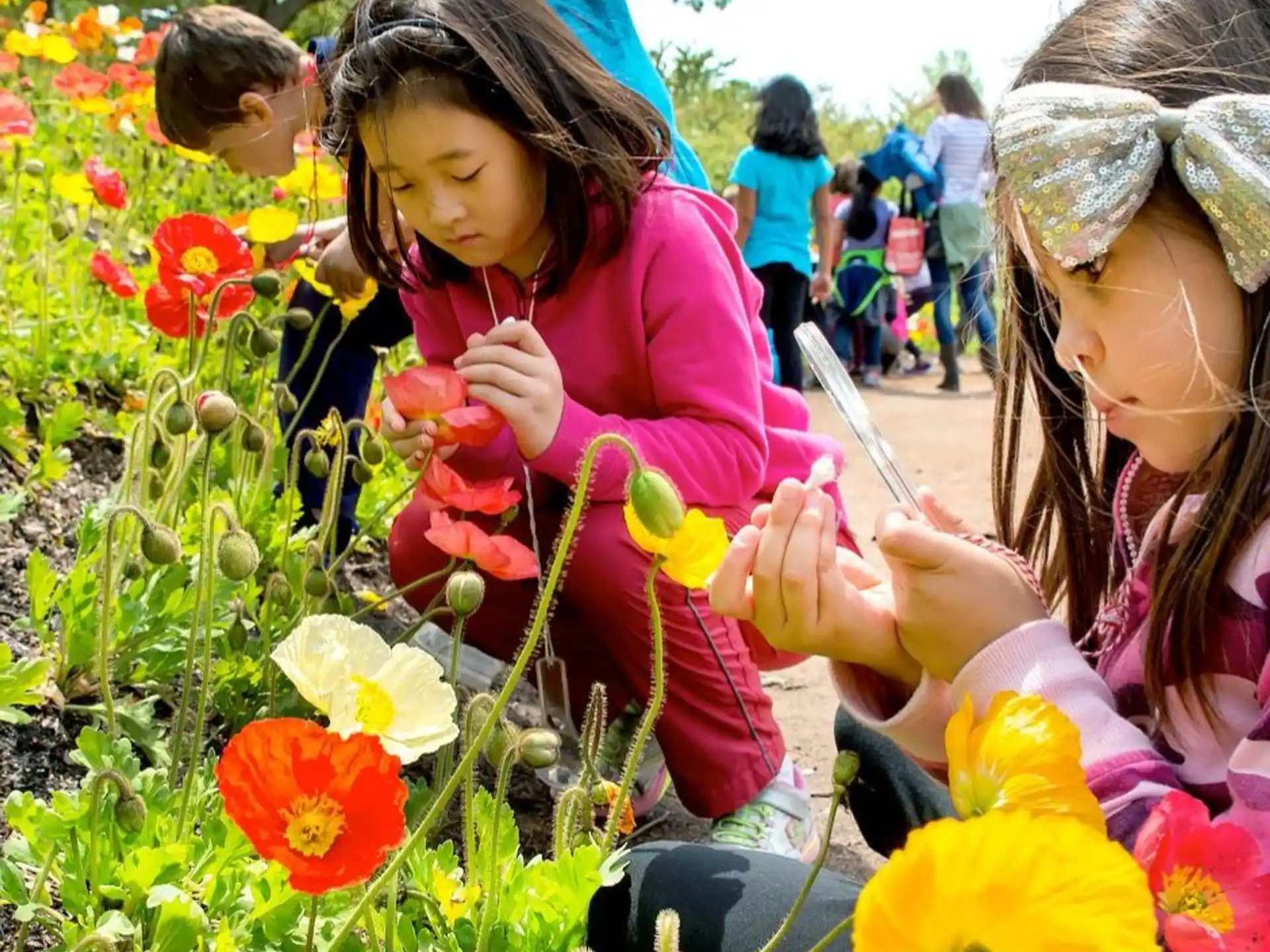 a group of children looking at flowers