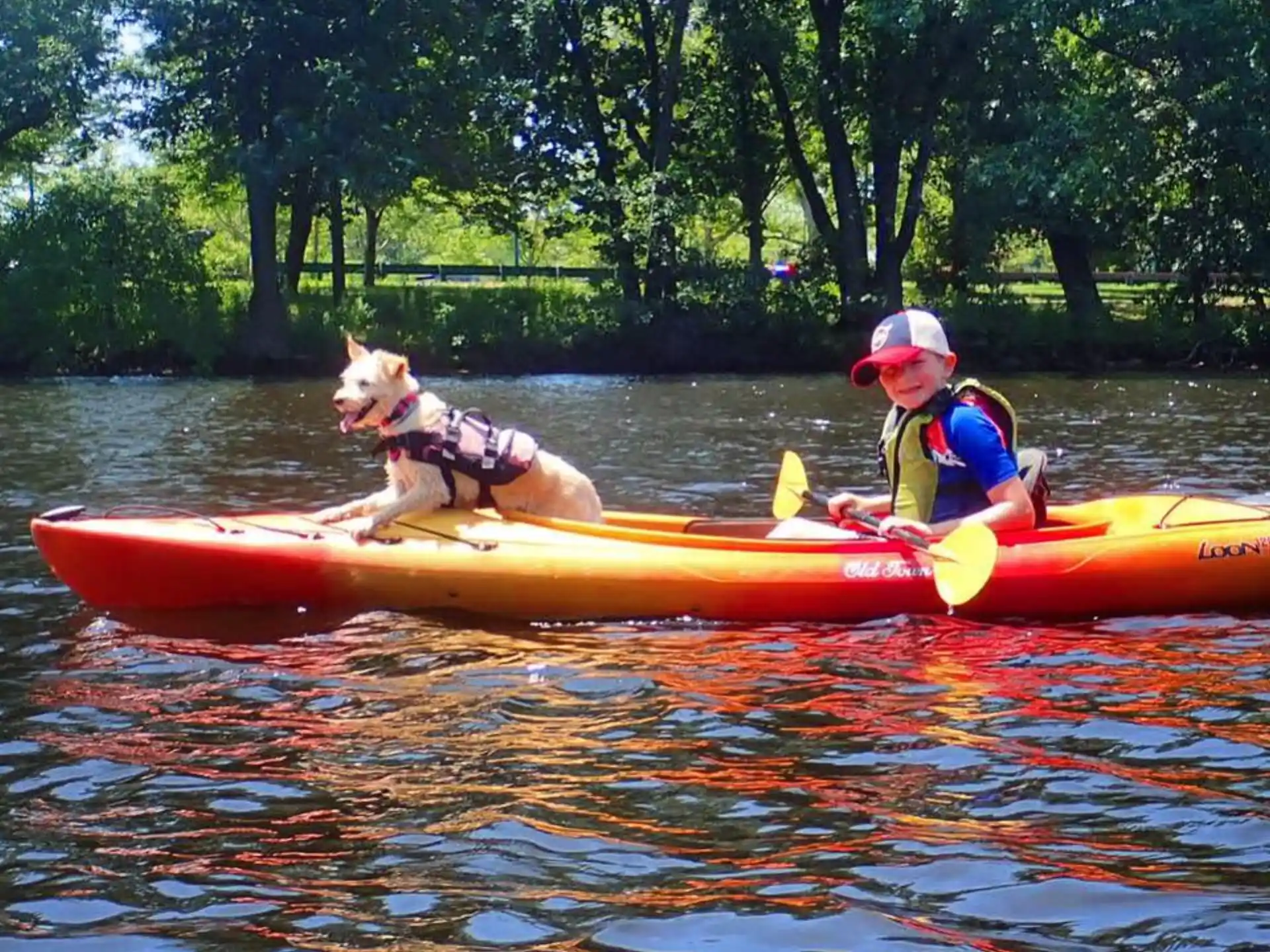 a person and a dog in a canoe on a lake