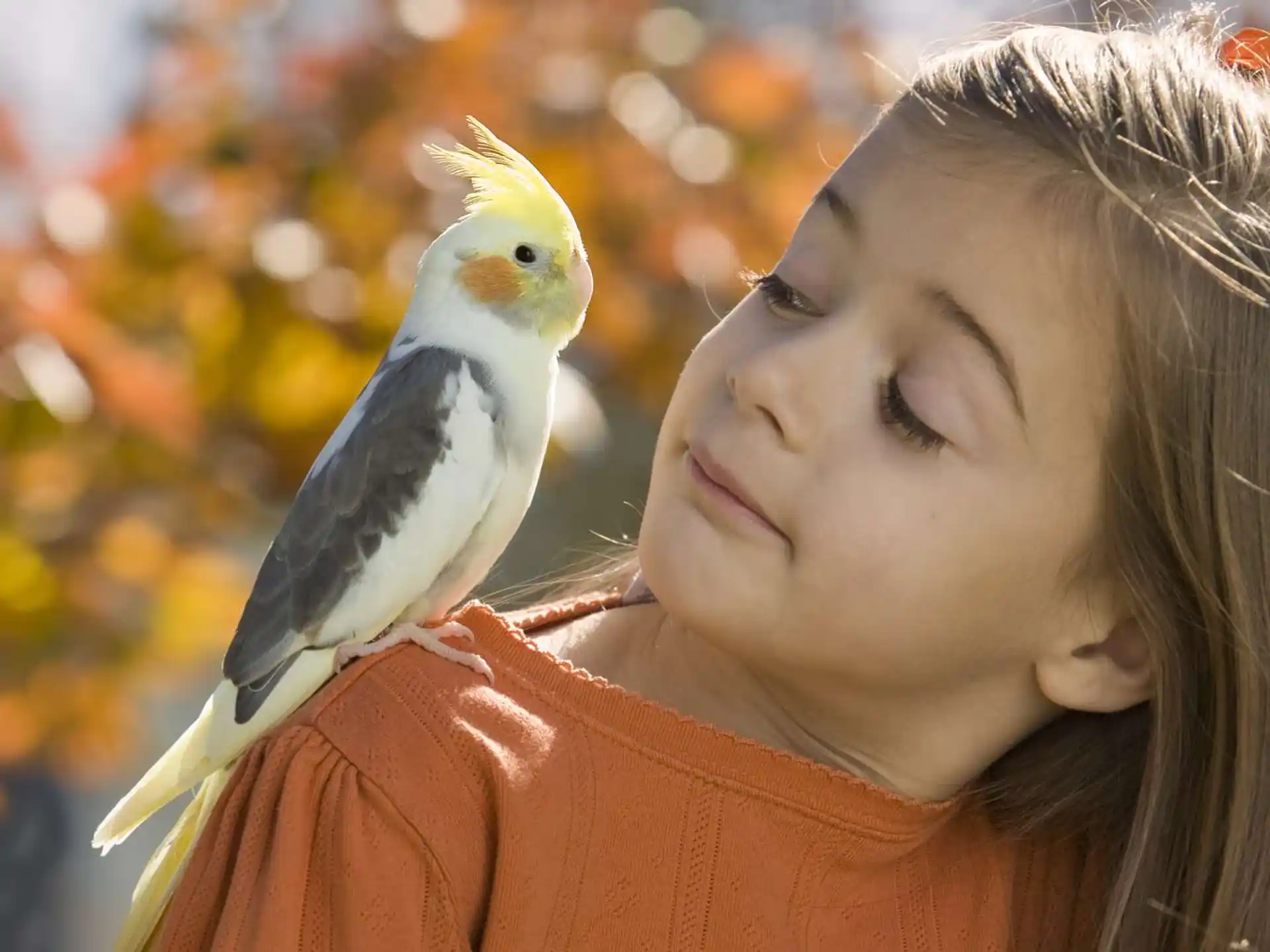 a bird on a woman's shoulder