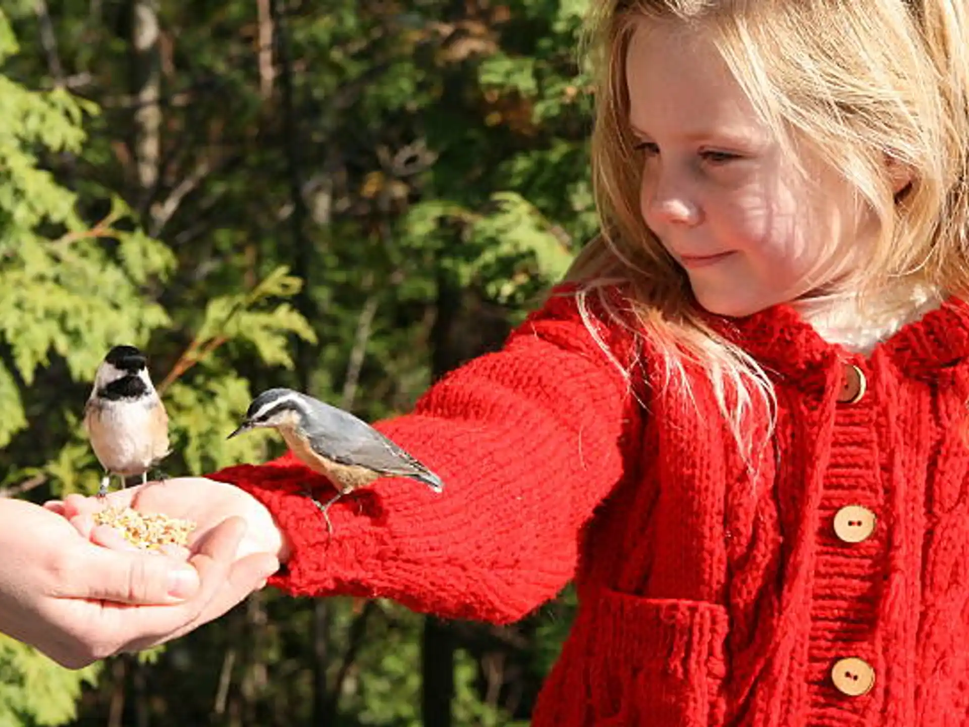 a person holding a bird