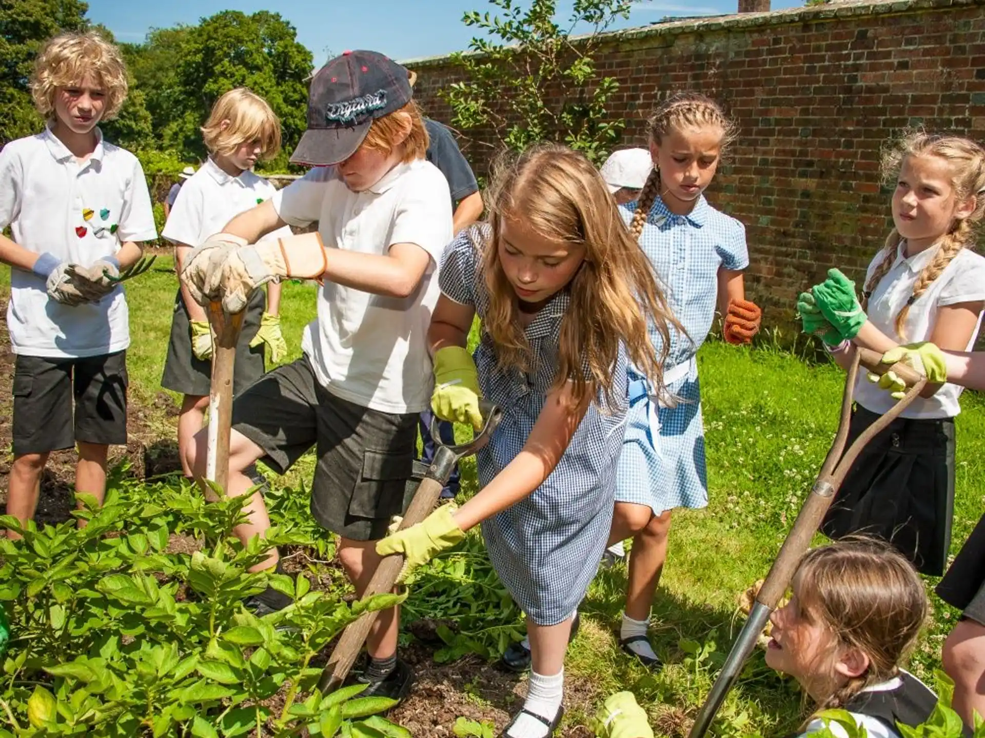a group of children planting plants
