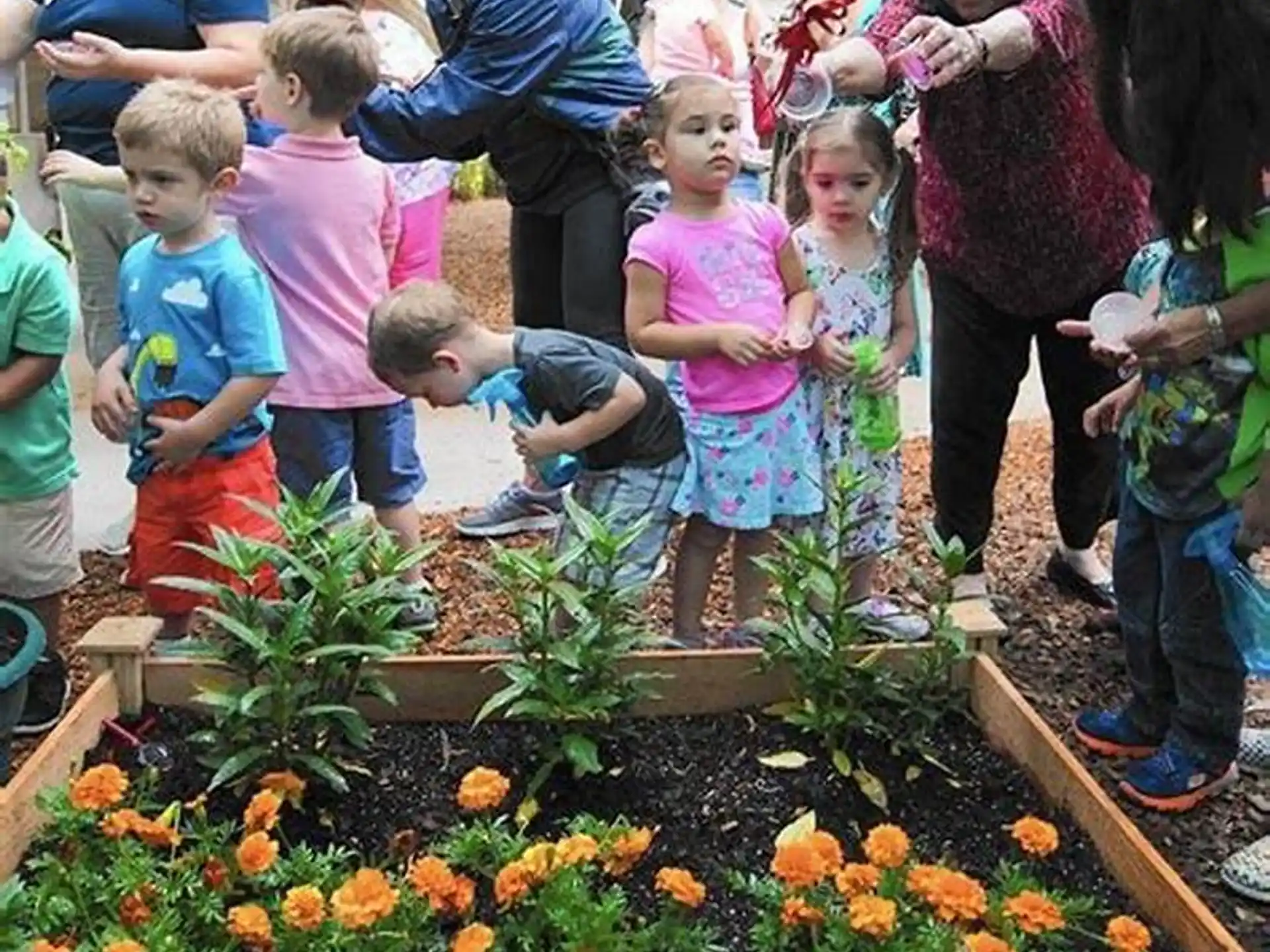 a group of people looking at plants