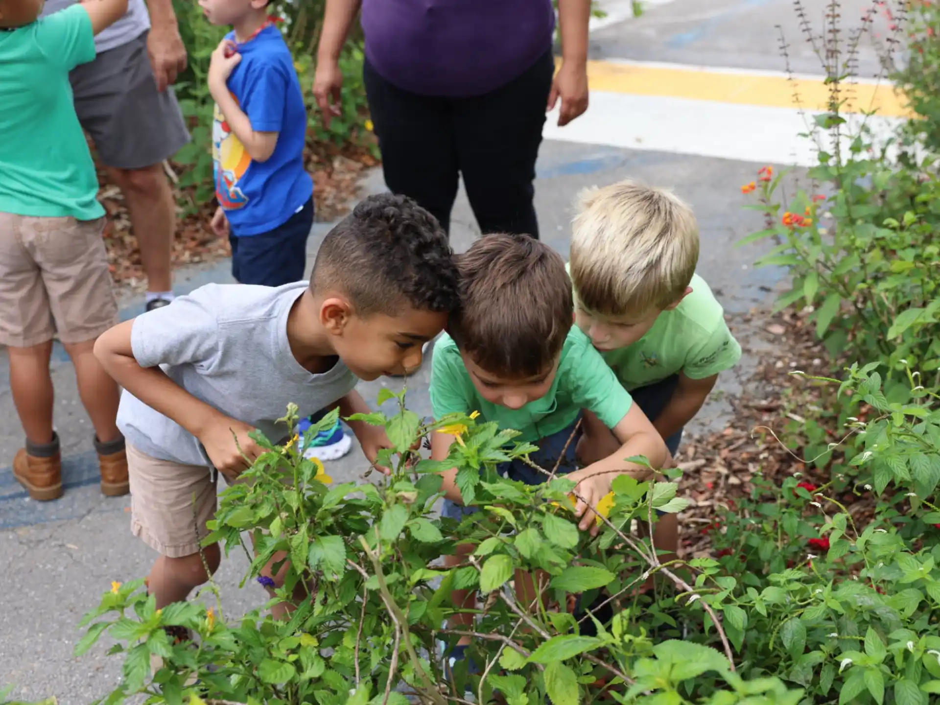 a group of boys looking at a plant
