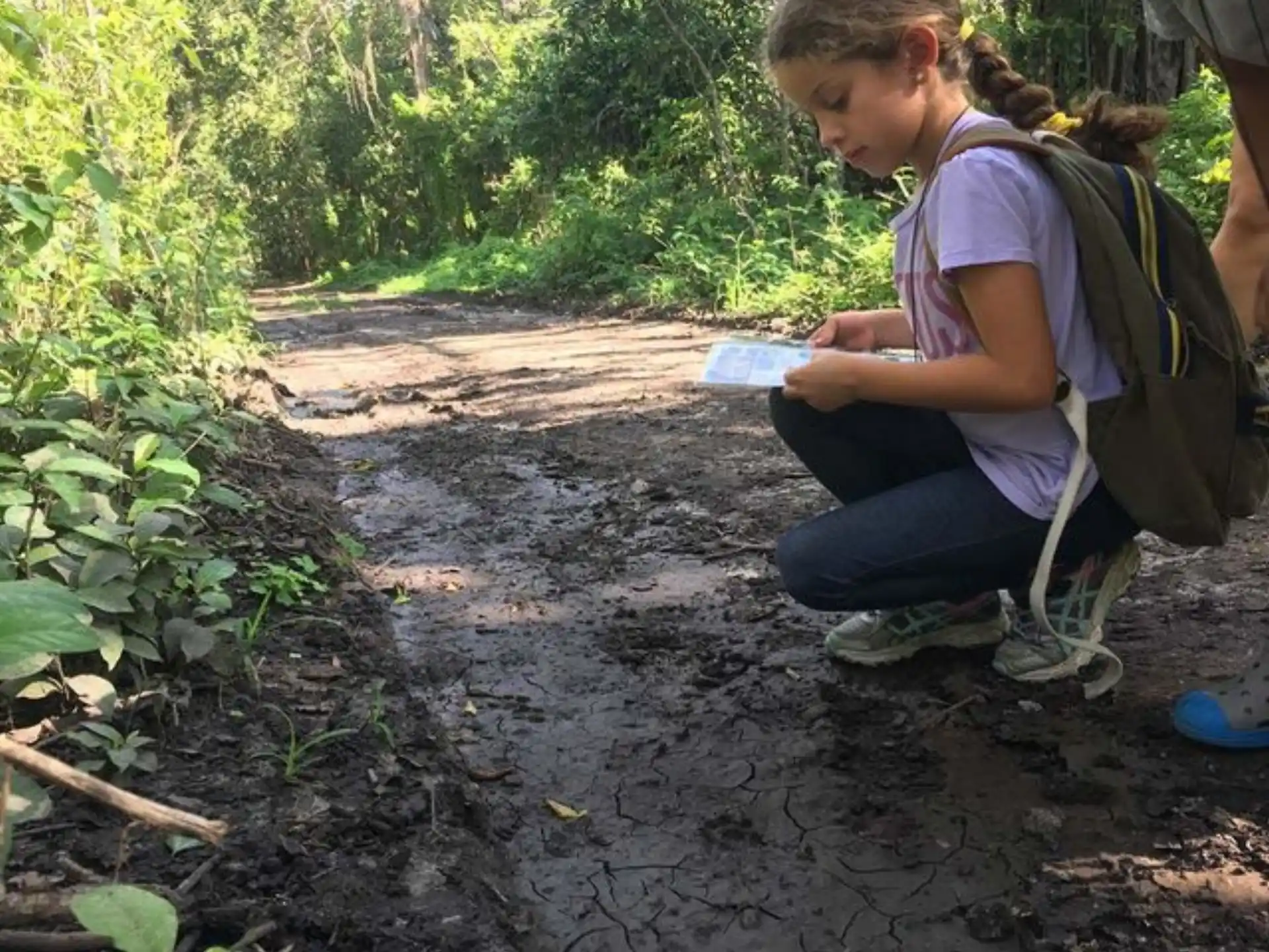 a group of people looking at a map in the woods