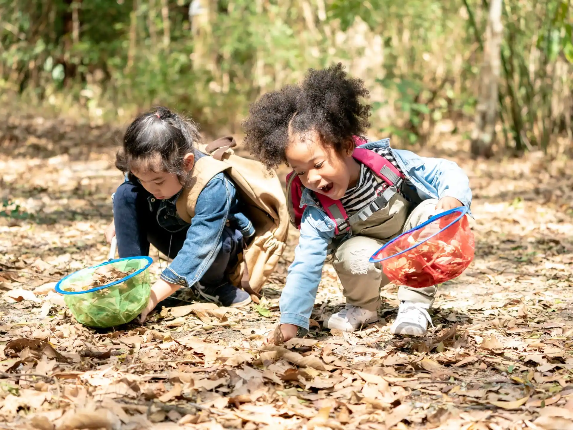 a couple of children playing in the leaves