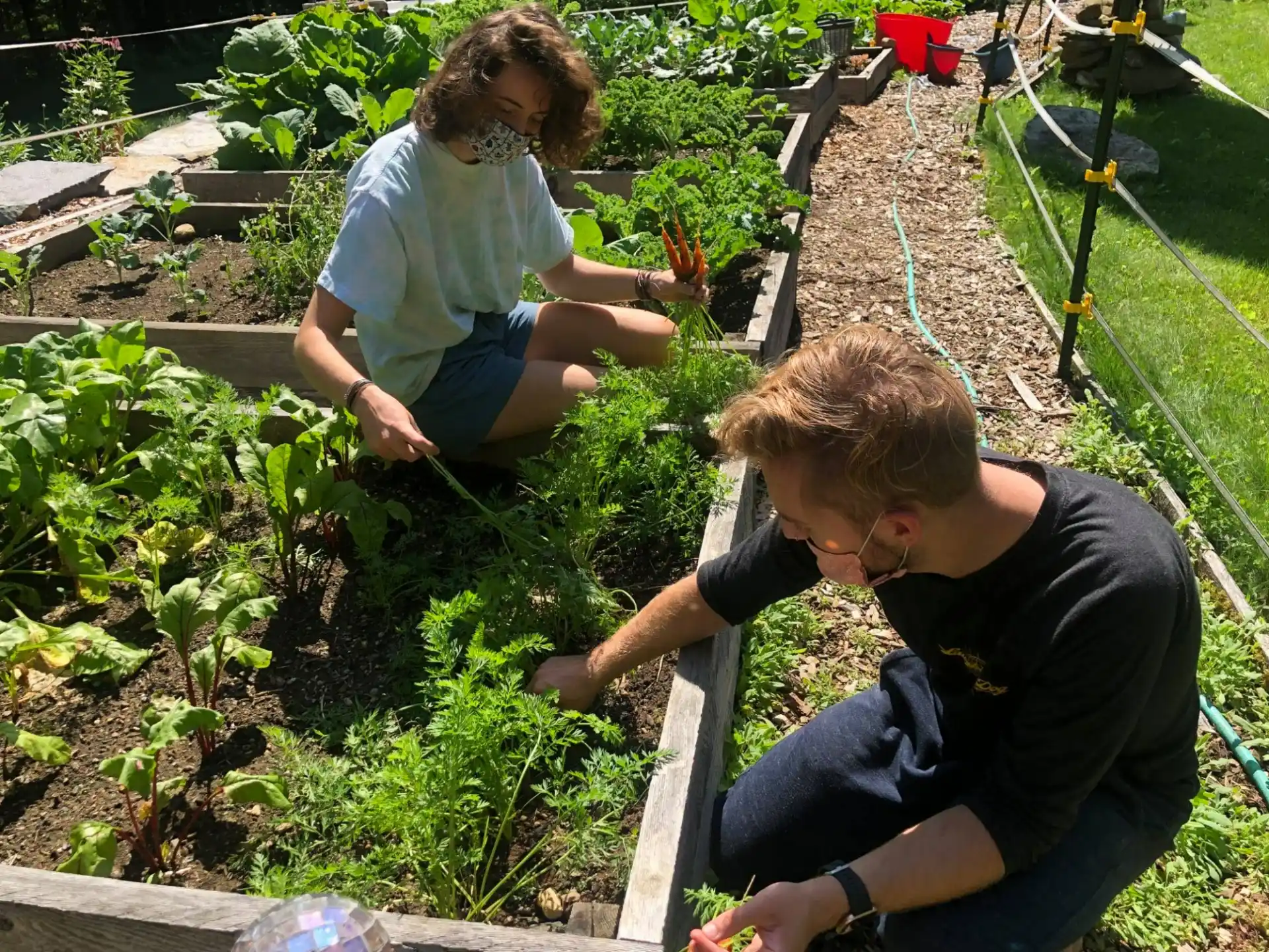 a couple of people working in a garden