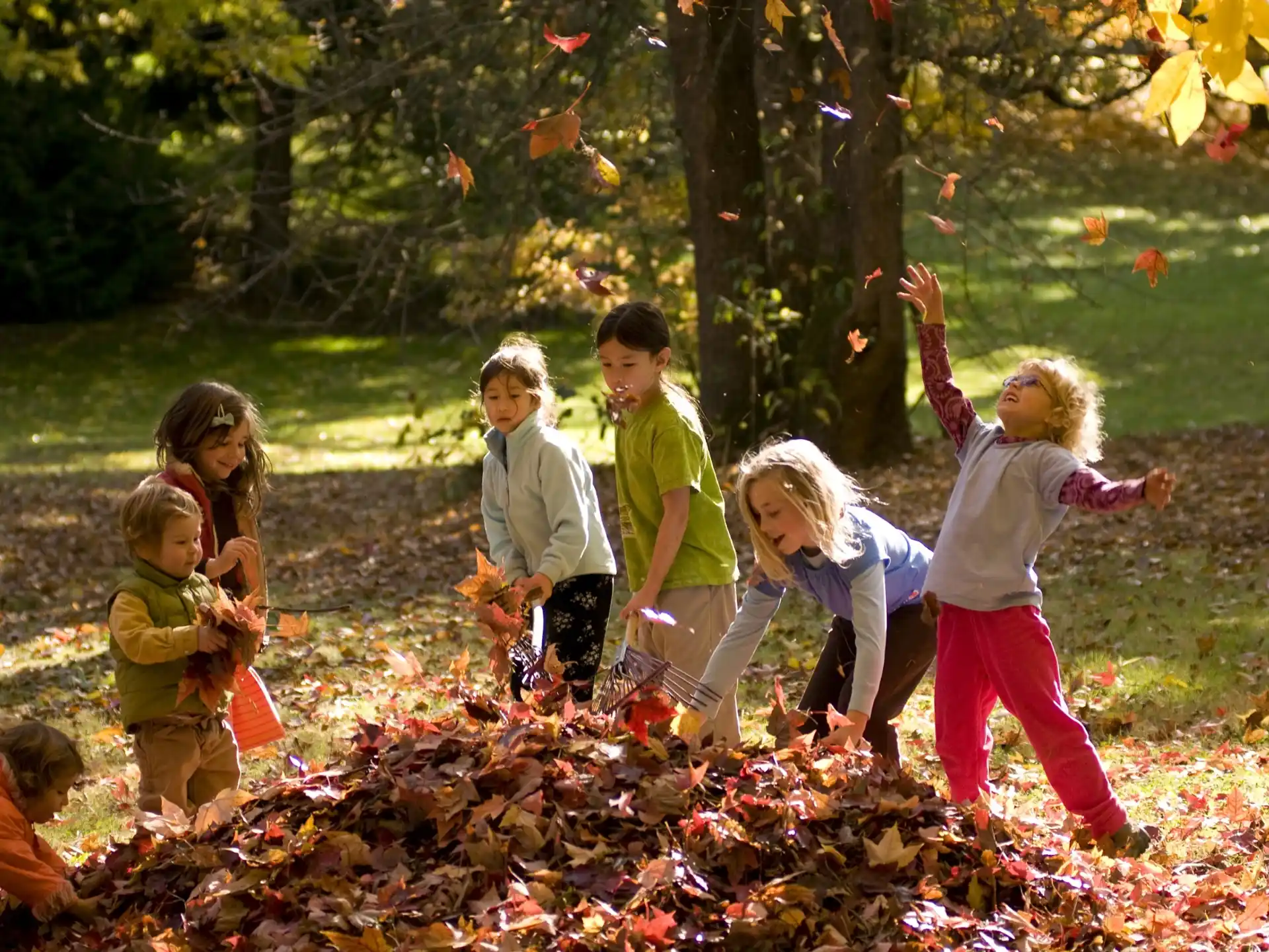a group of children playing in the leaves
