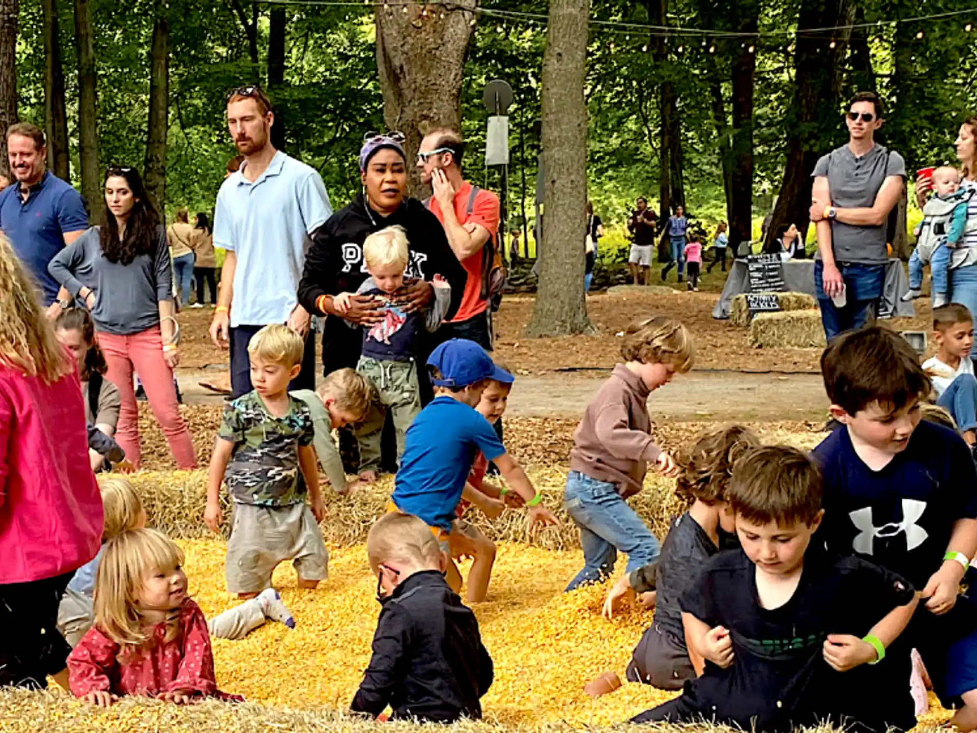 a group of people in a forest