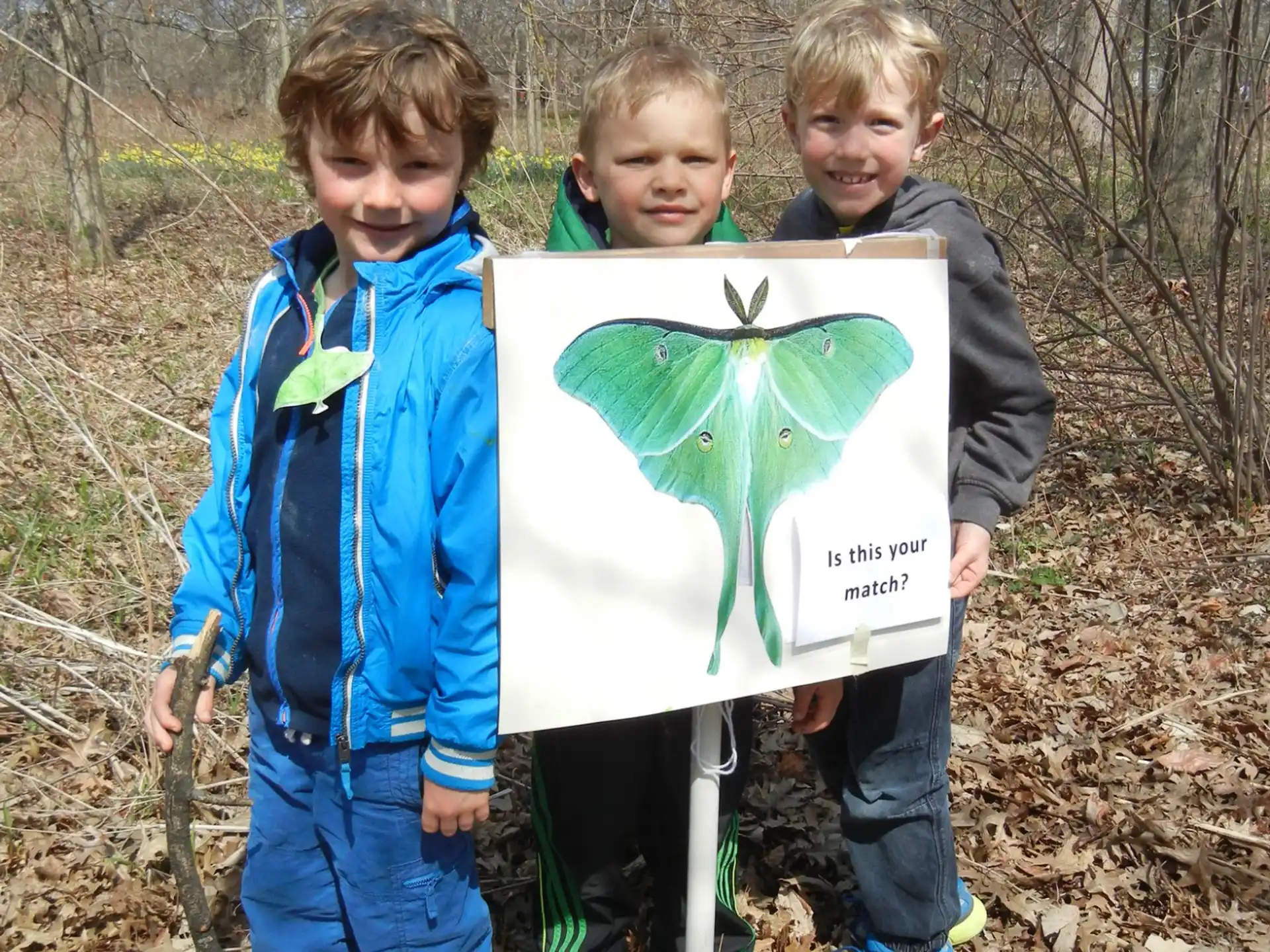 a group of boys holding a large fish in the woods