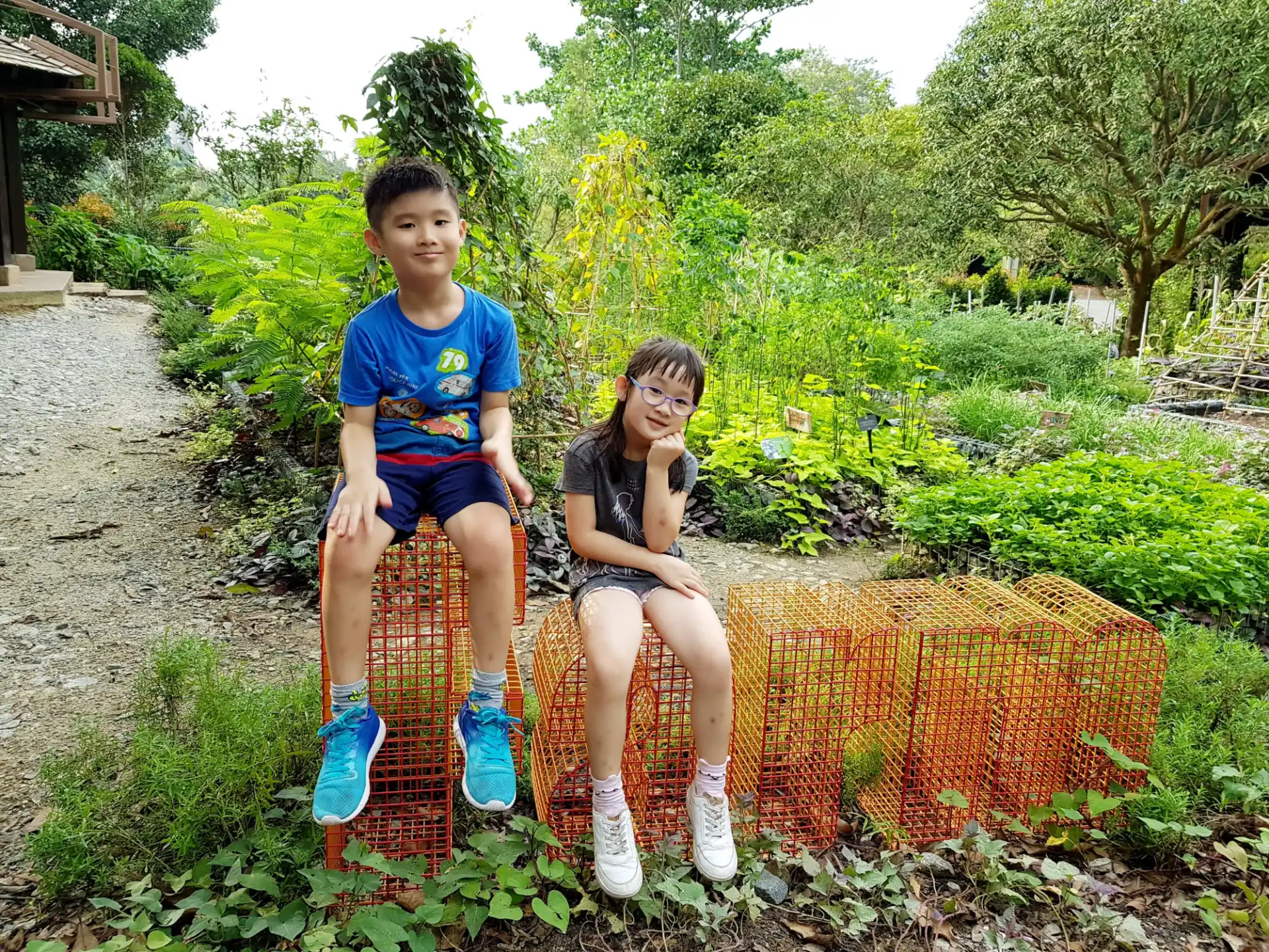 a boy and girl sitting on a flower bed in a garden