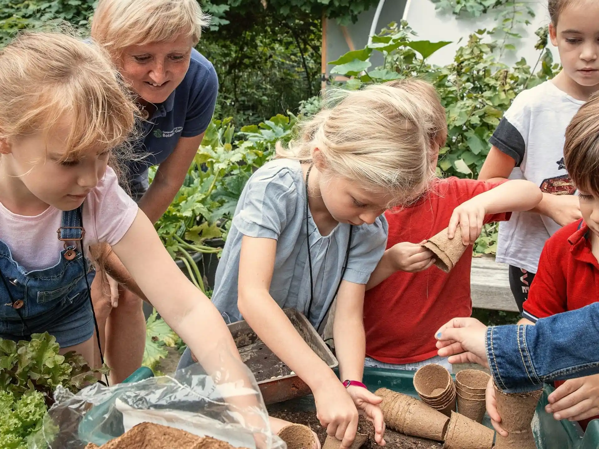 a group of children gathered around a plant
