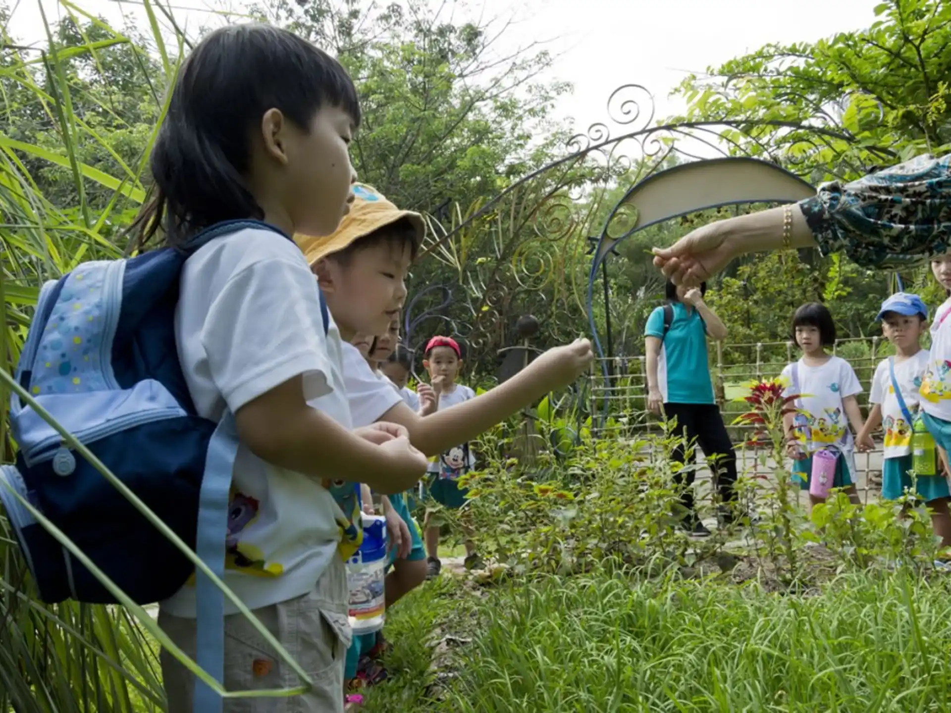 a group of children in a field