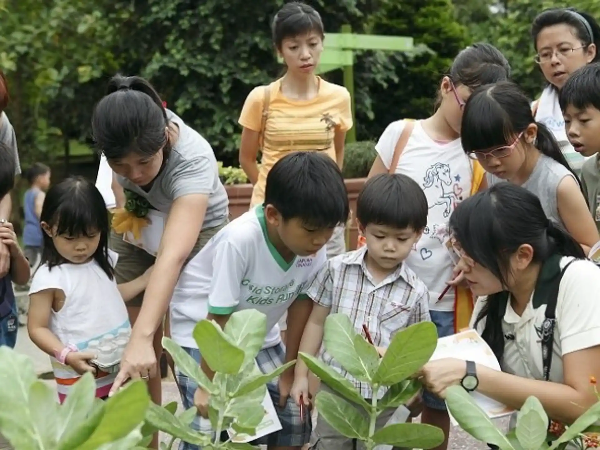 a group of people looking at a plant