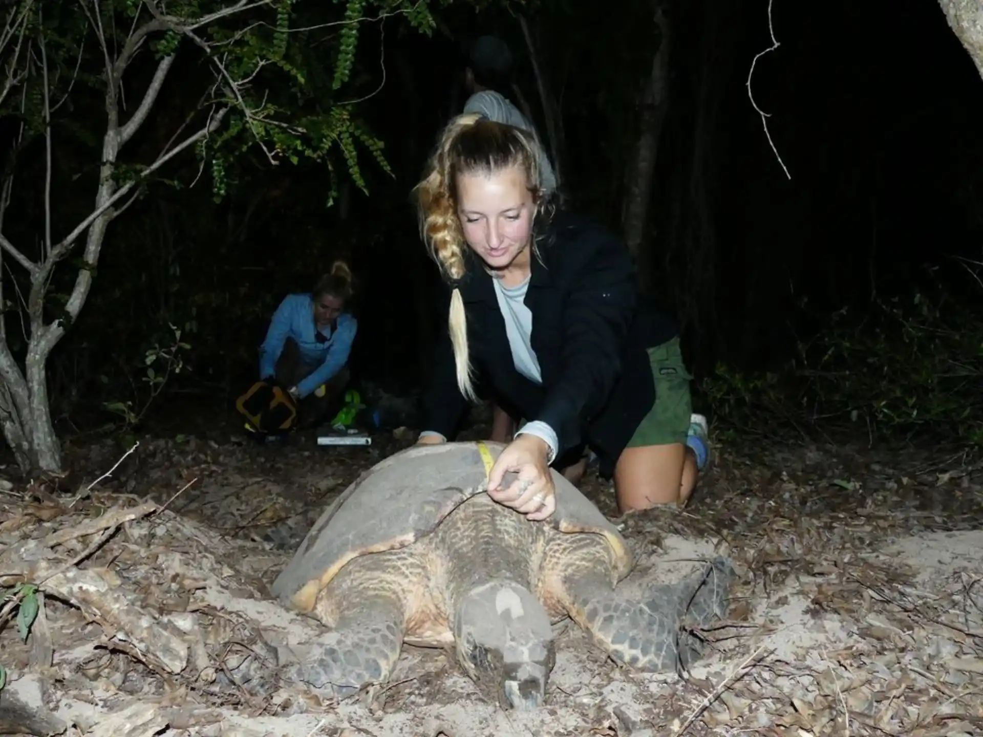 a person kneeling next to a turtle