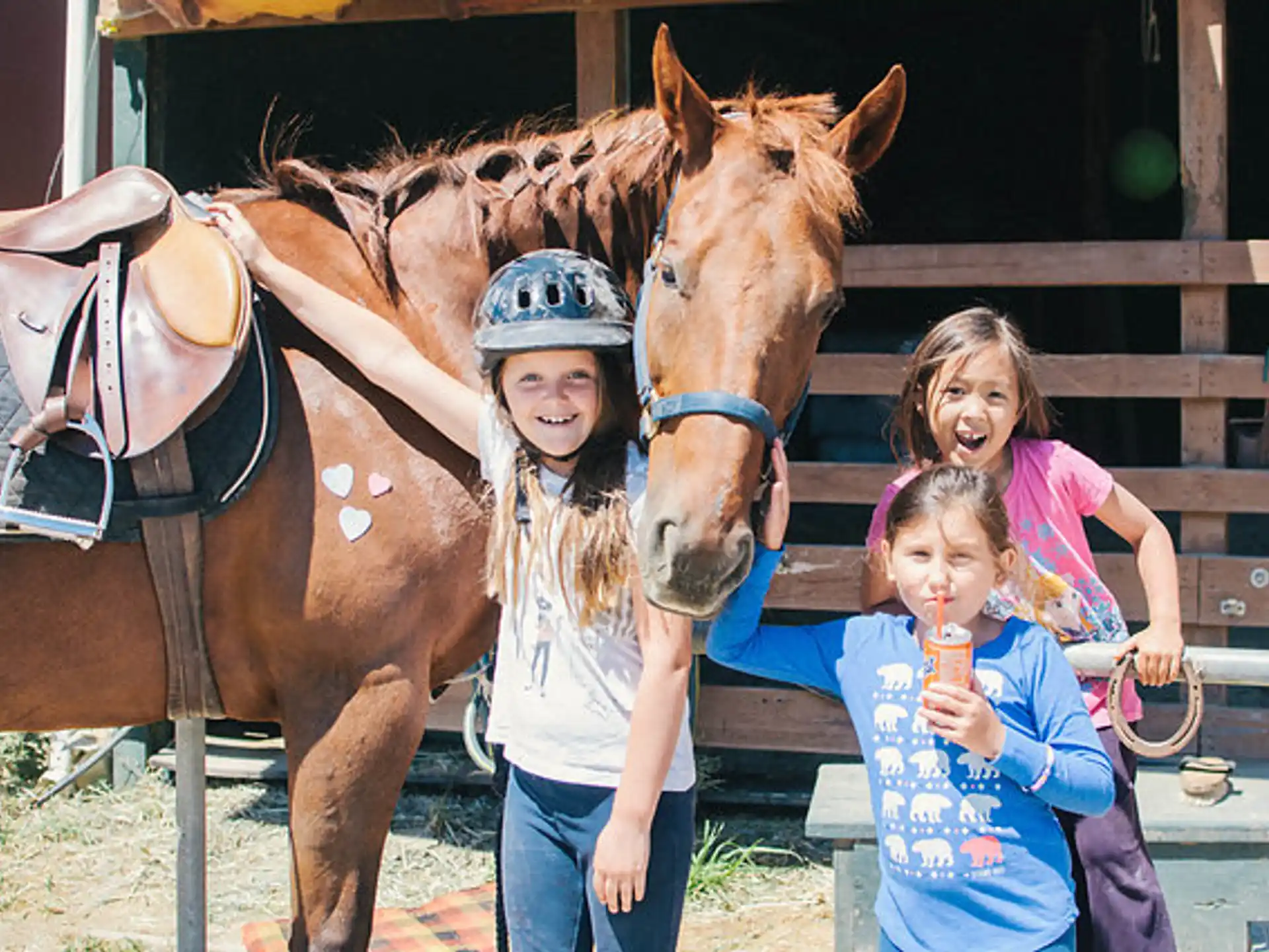 a person and two children standing next to a horse