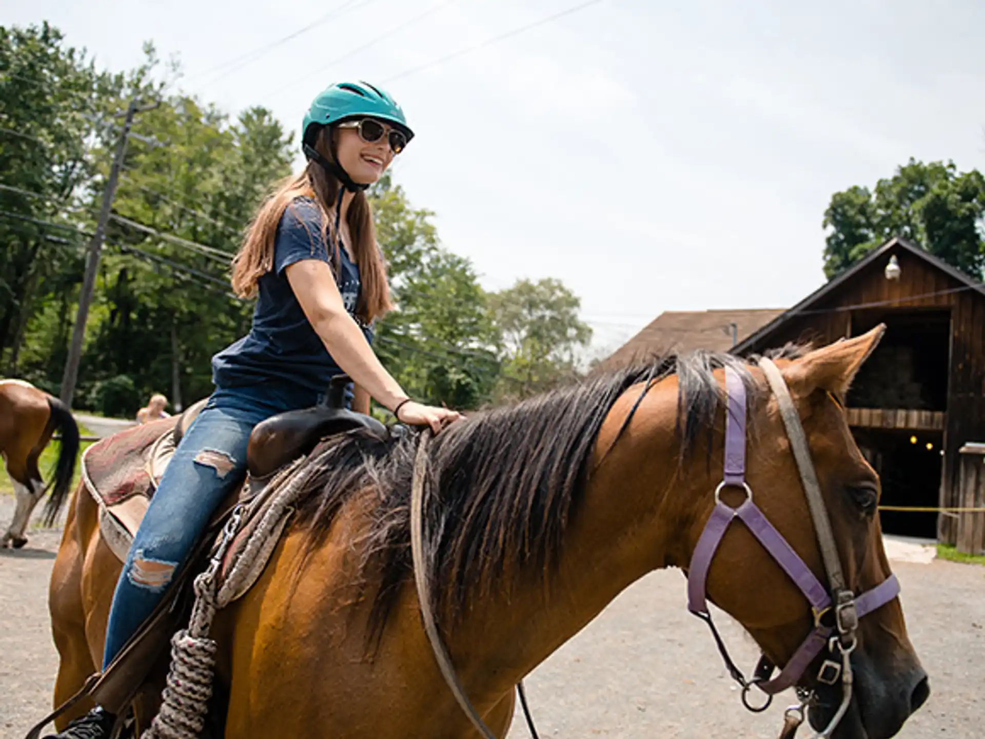 a person riding a horse
