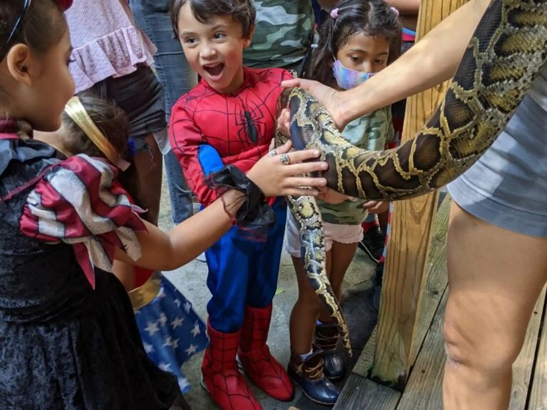 a group of children standing around a person holding a snake