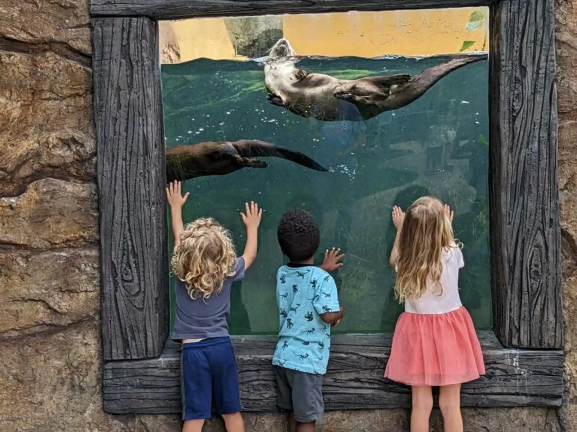 children looking at a fish tank