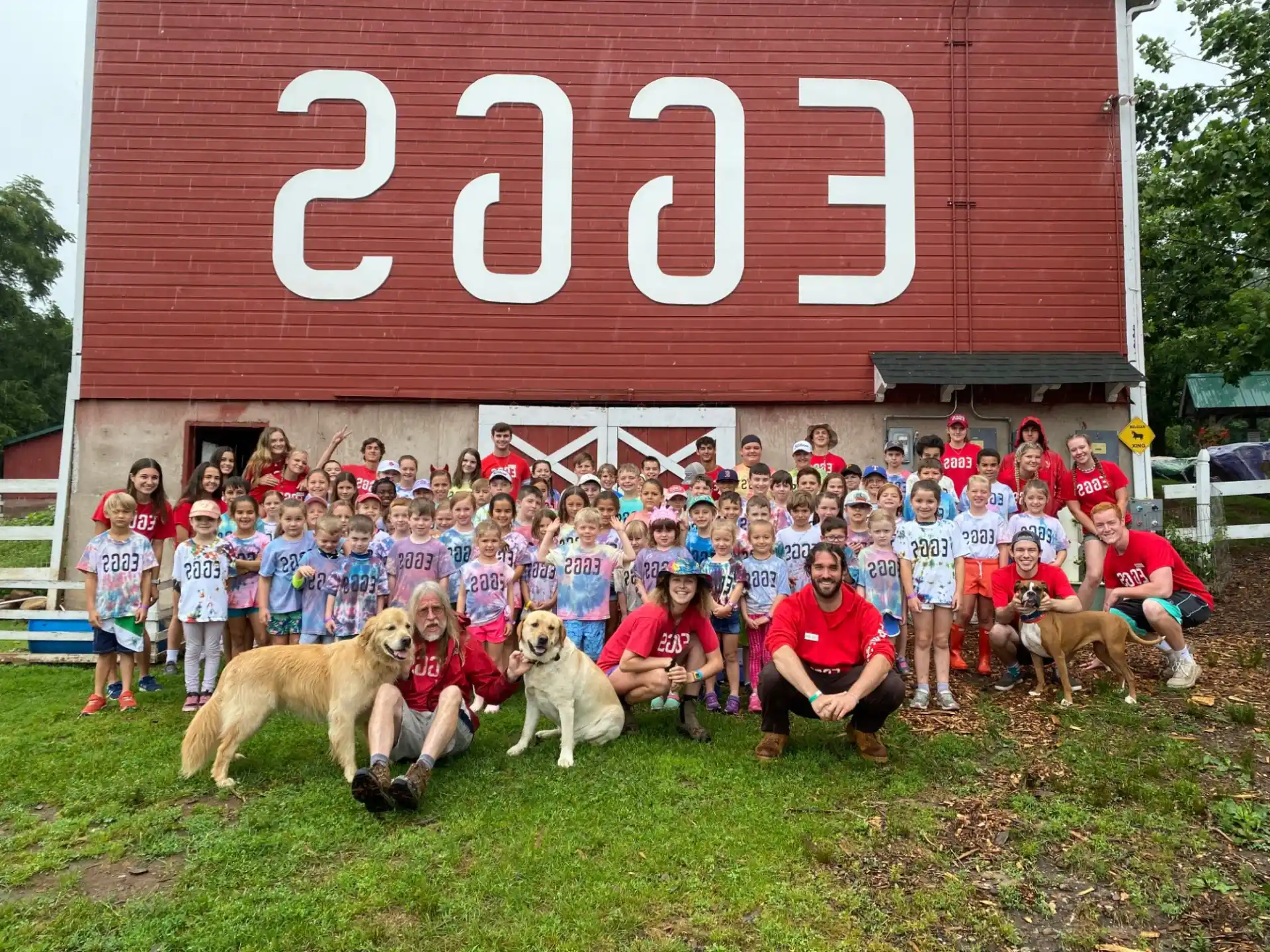 a group of people posing for a photo with dogs